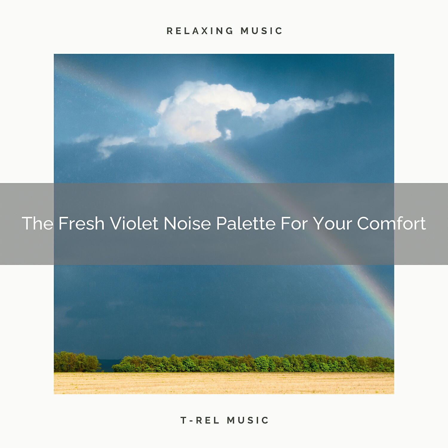 The White Noise Zen - The Fresh Violet Noise Palette For Studying