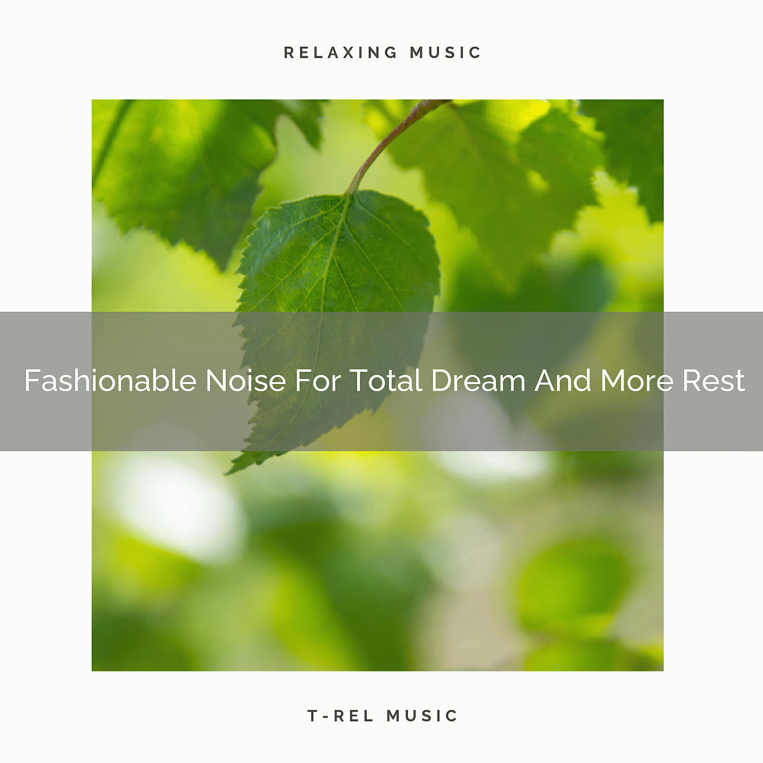 Baby Shusher - Fashionable Noise For Total Dream And More Rest