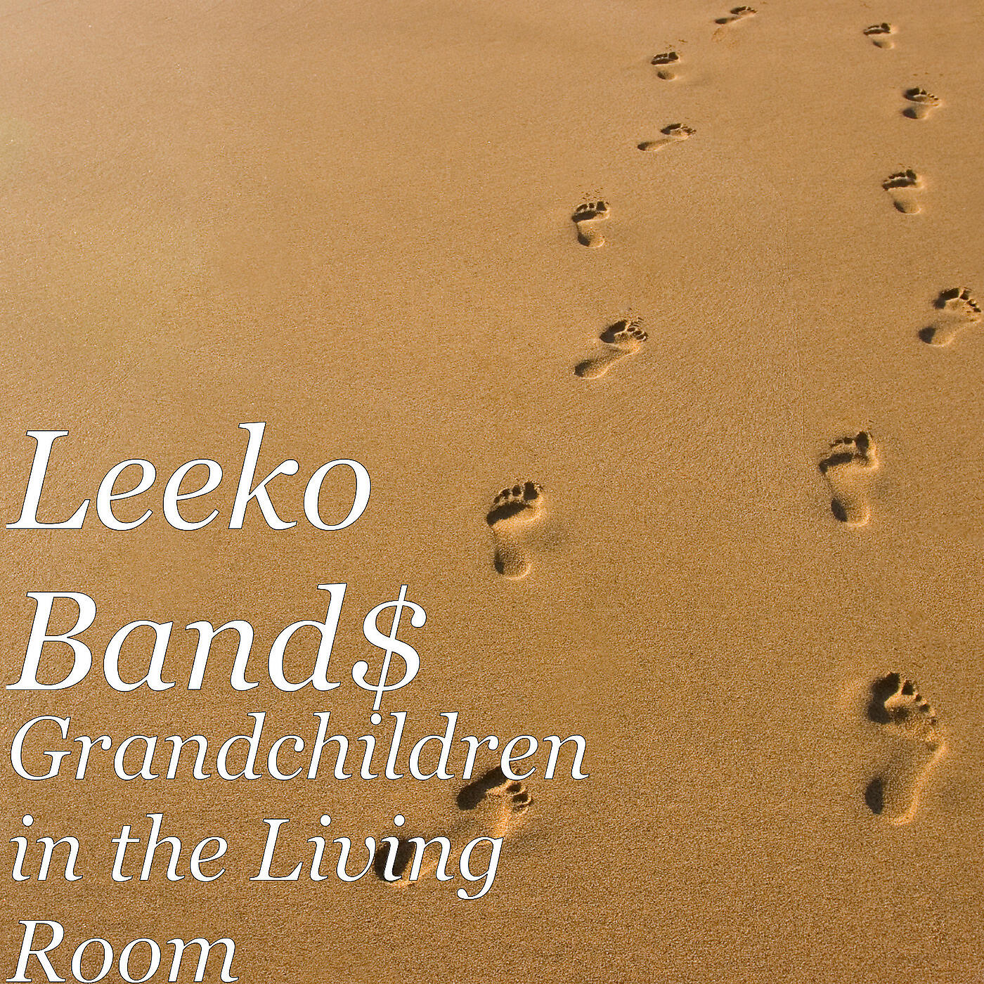 Leeko Band$ - Grandchildren in the Living Room