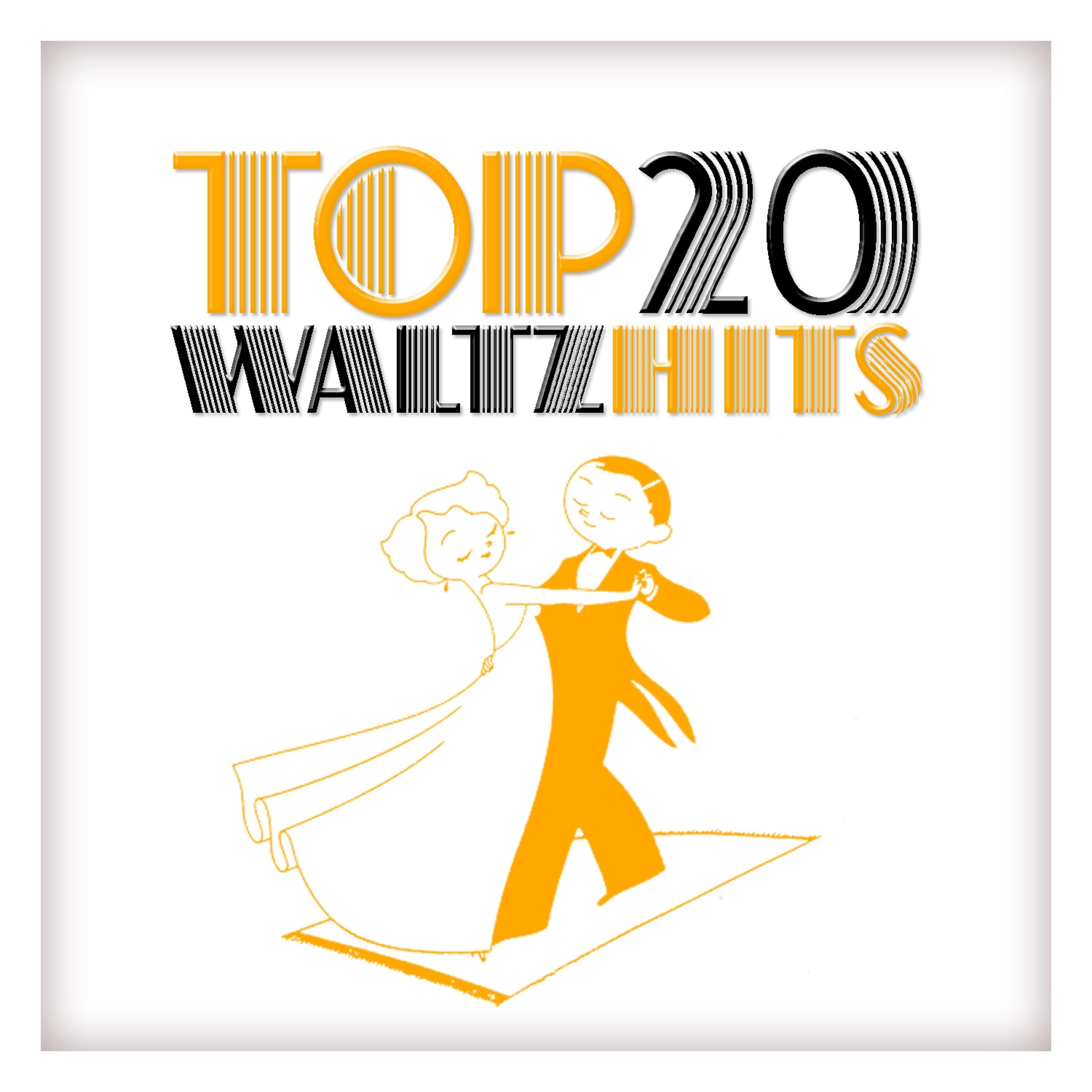 Постер альбома Top 20 Waltz Hits