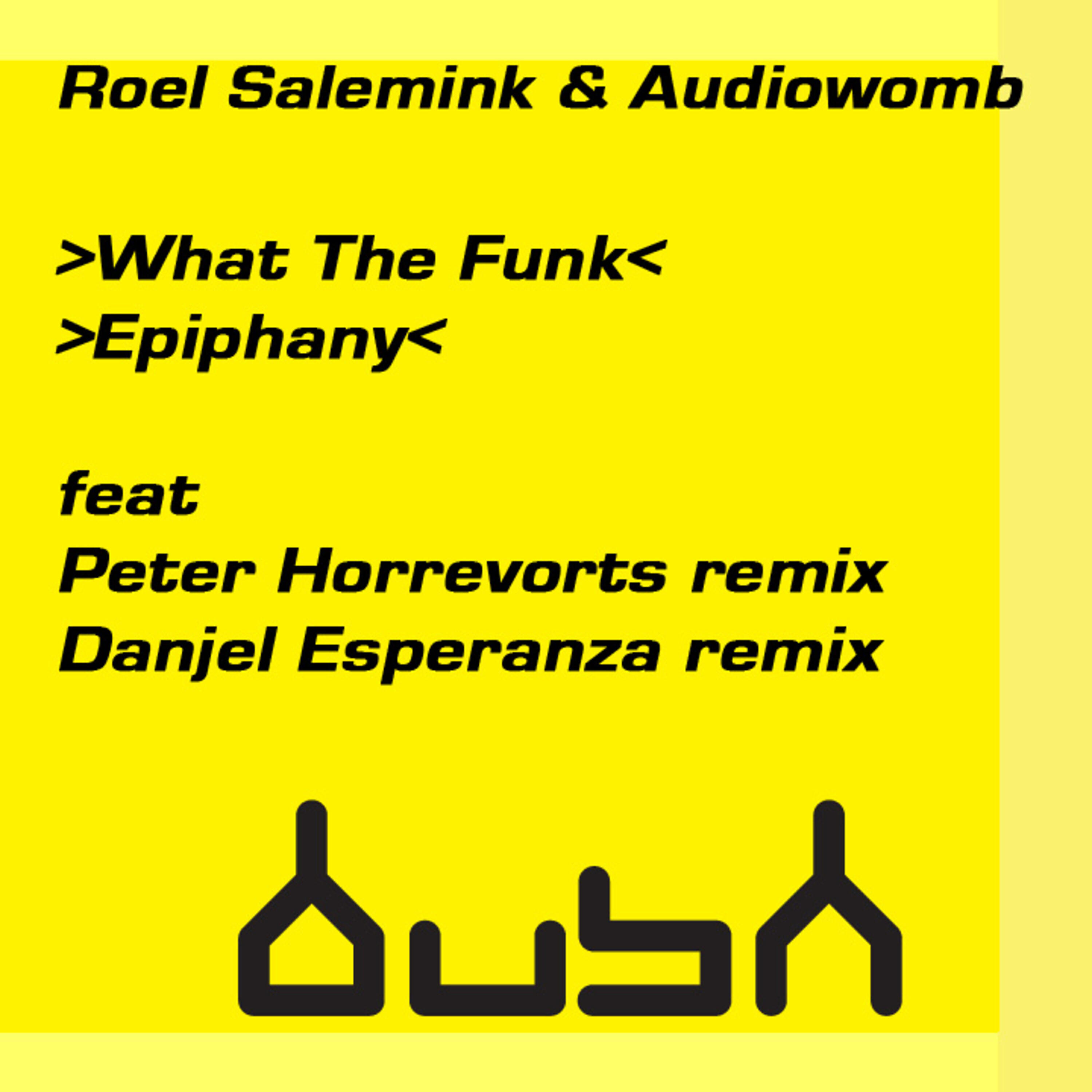 Roel Salemink - What the Funk (Peter Horrevorts Remix)