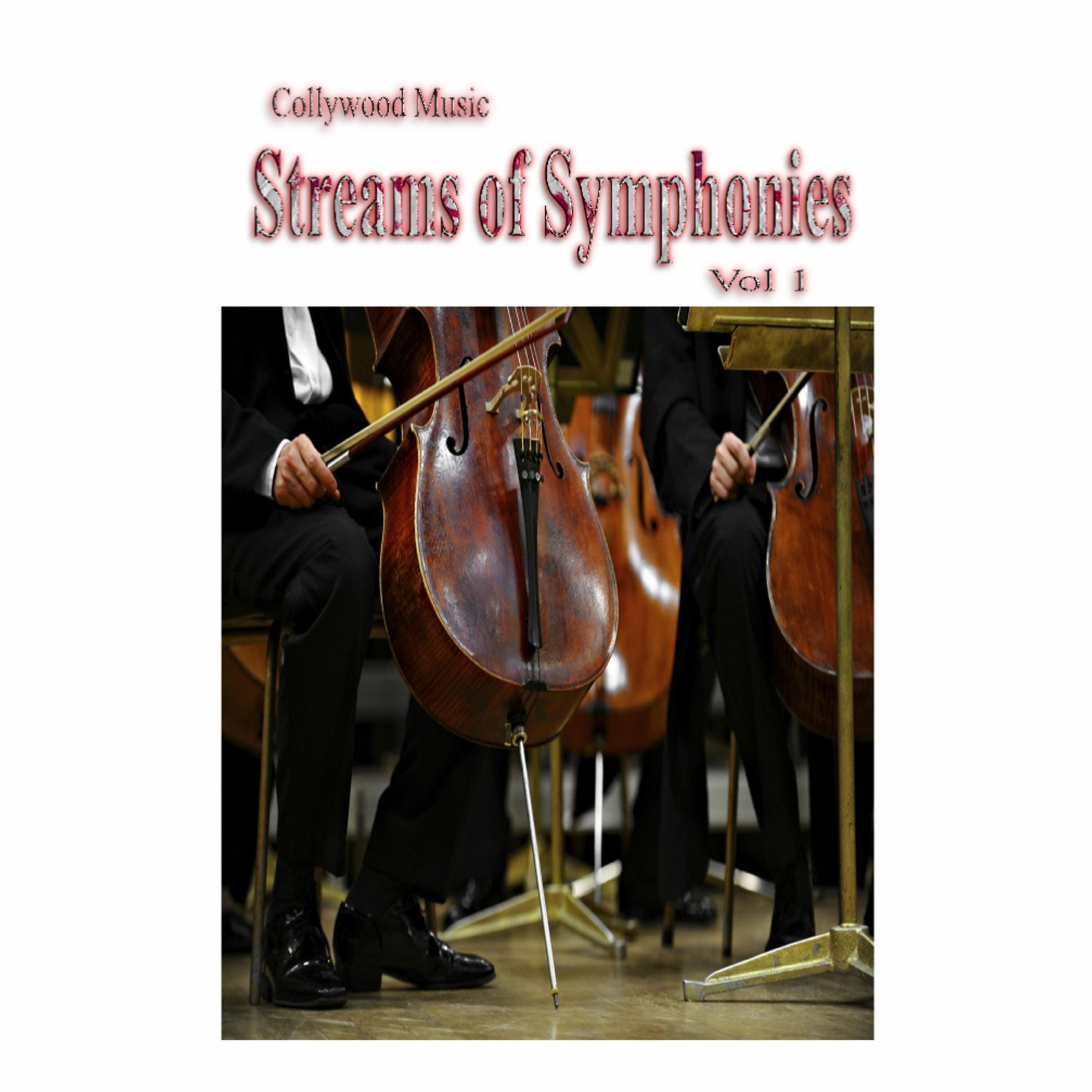 Постер альбома Collywood Music Streams of Symphonies, Vol.1