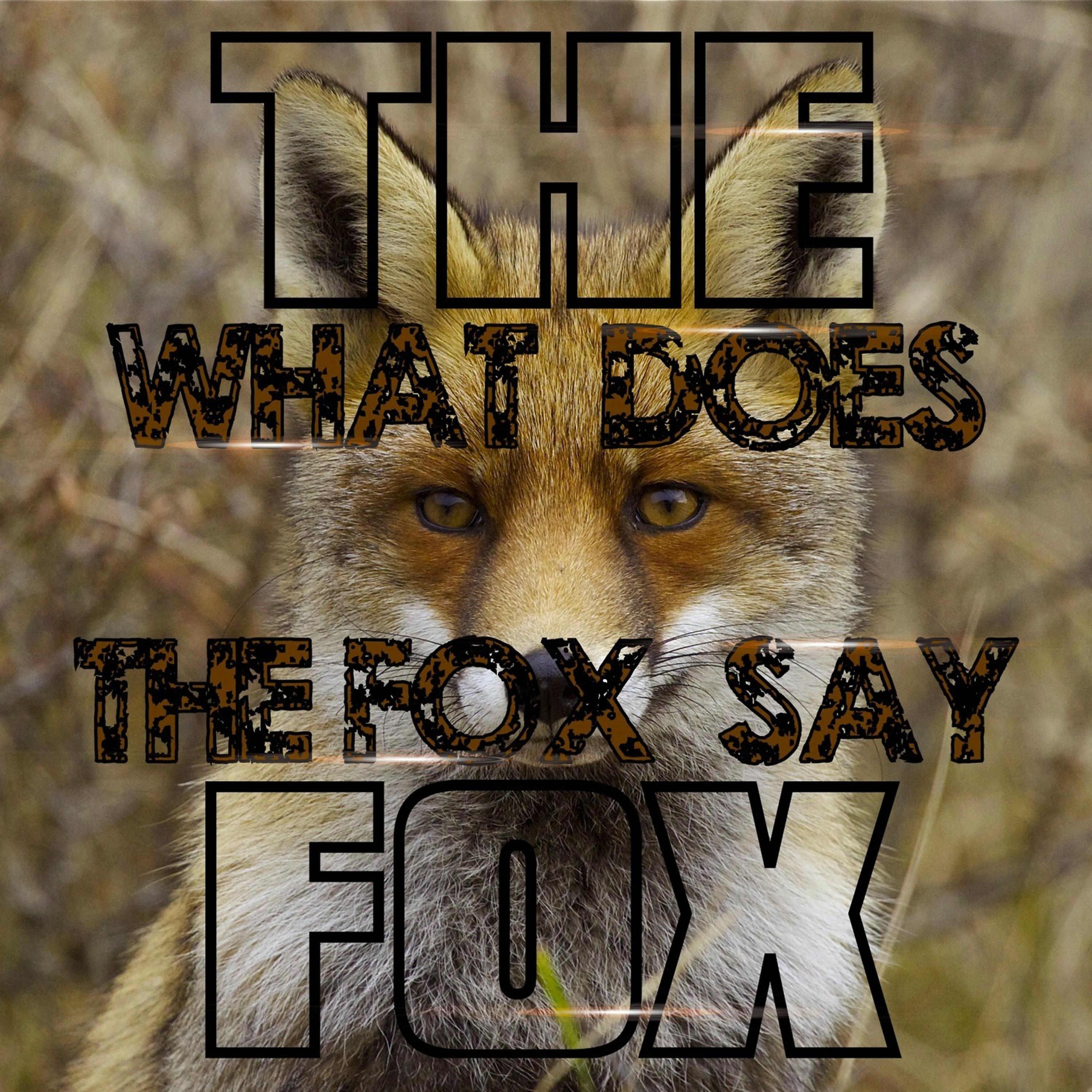 Постер альбома The Fox (What Does the Fox Say)