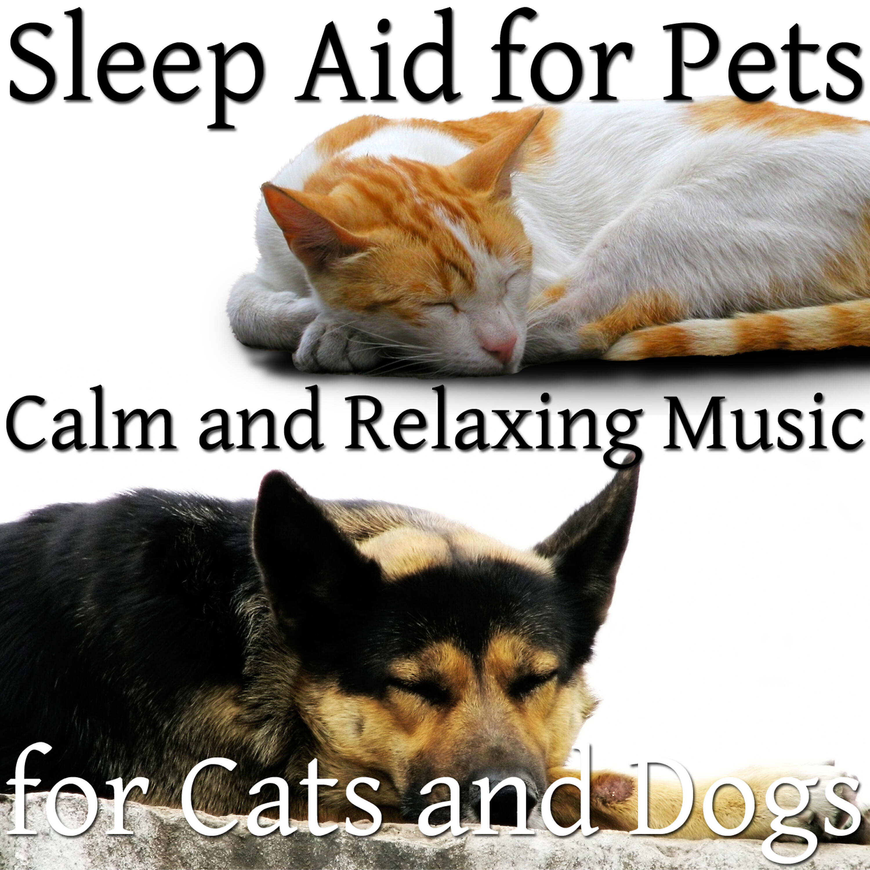 Calming Pet Care Masters - Alpha Rhythm for Dogs and Cats