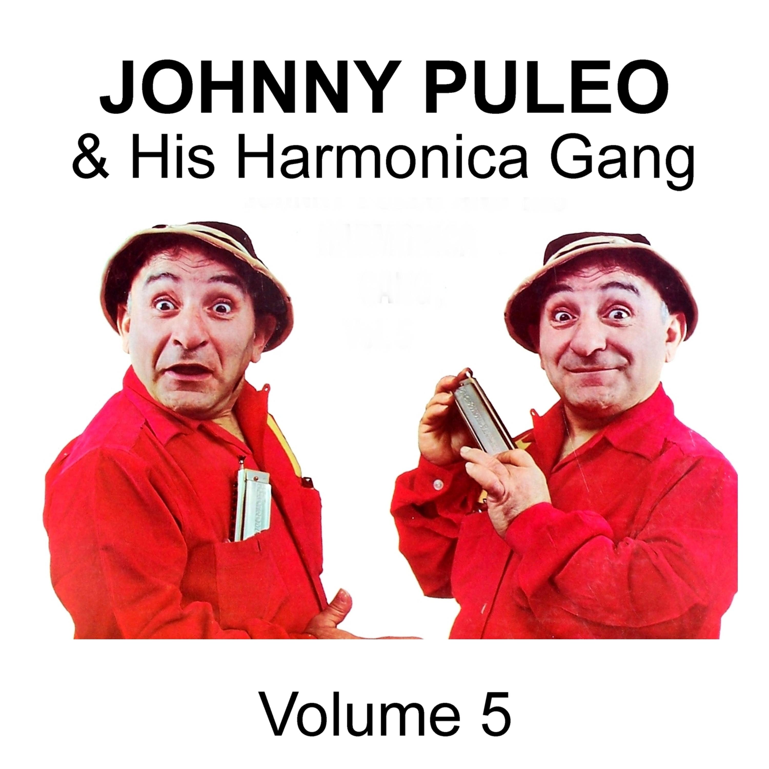 Постер альбома Johnny Puleo & His Harmonica Gang - Volume 5