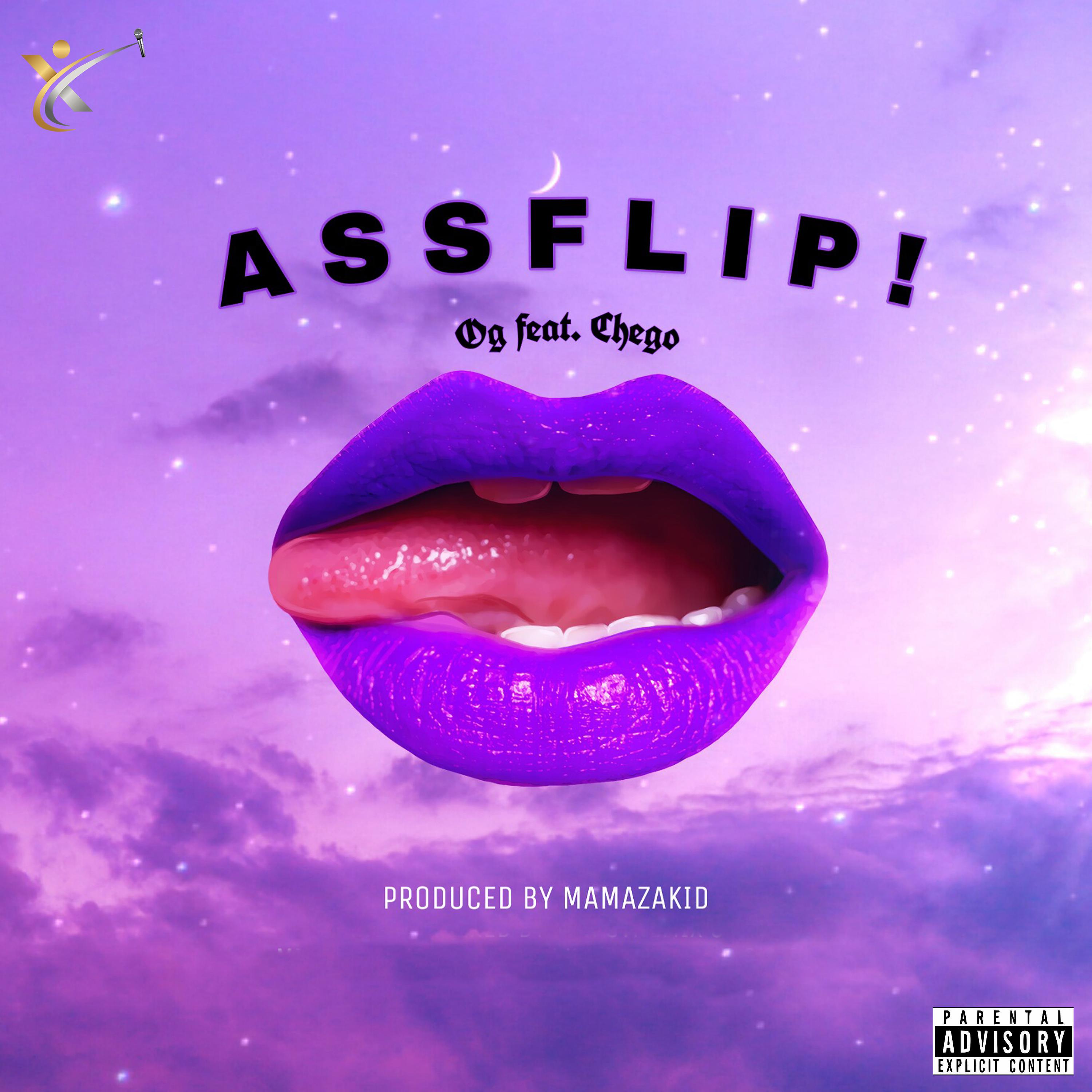 Постер альбома Assflip