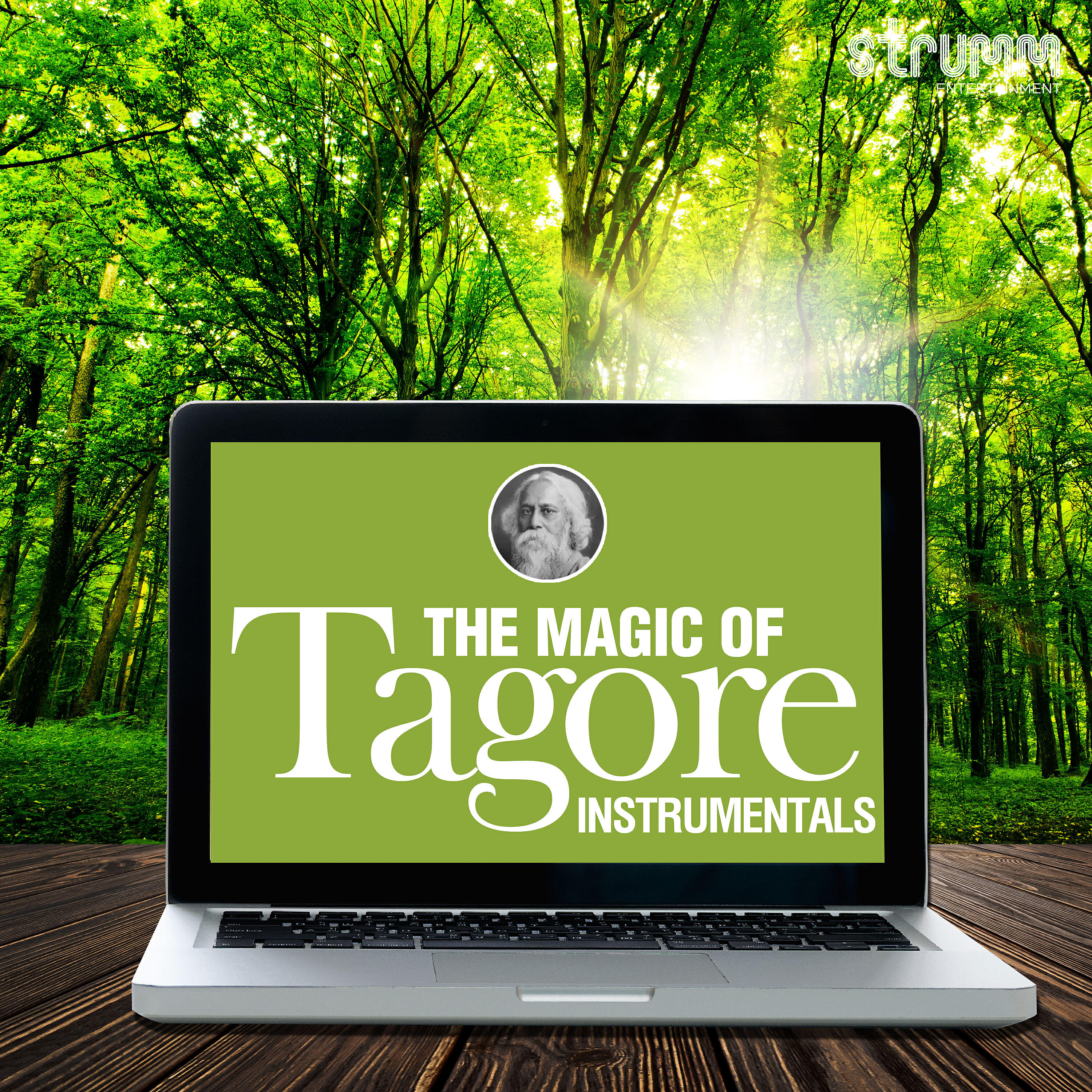 Shomu Seal - Pagla Hawar Badol Dine (Instrumental)