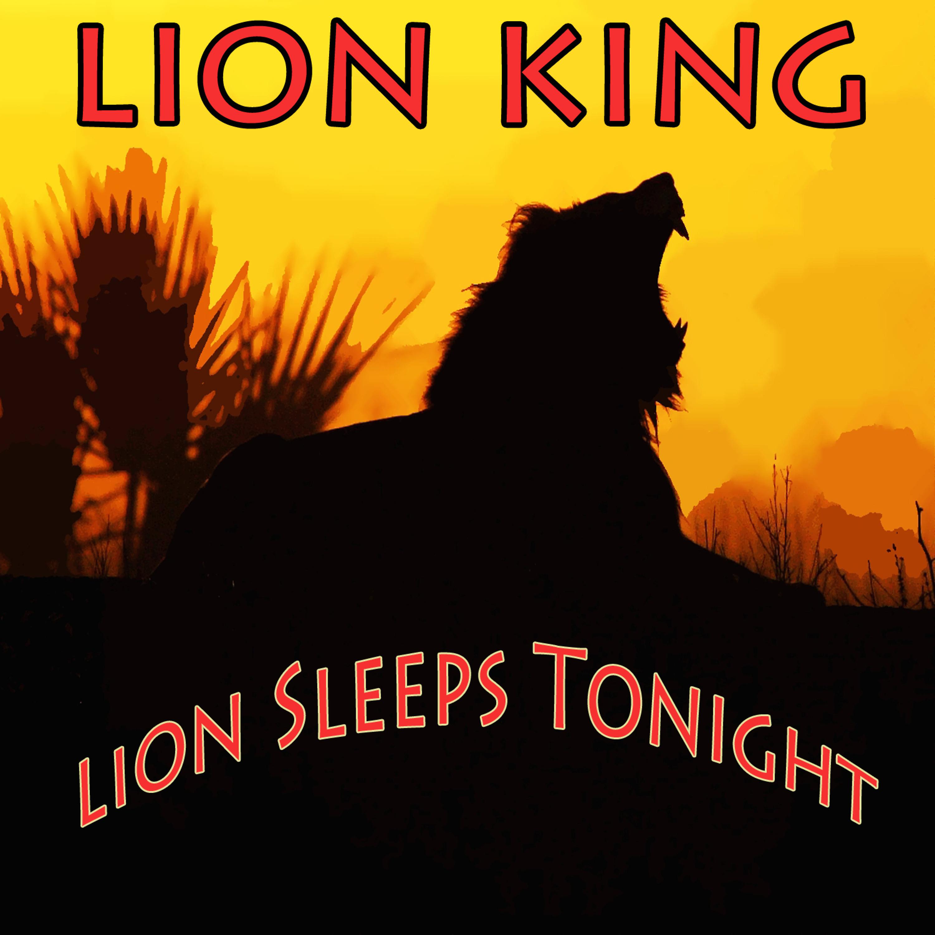 Постер альбома Lion King: Lion Sleeps Tonight