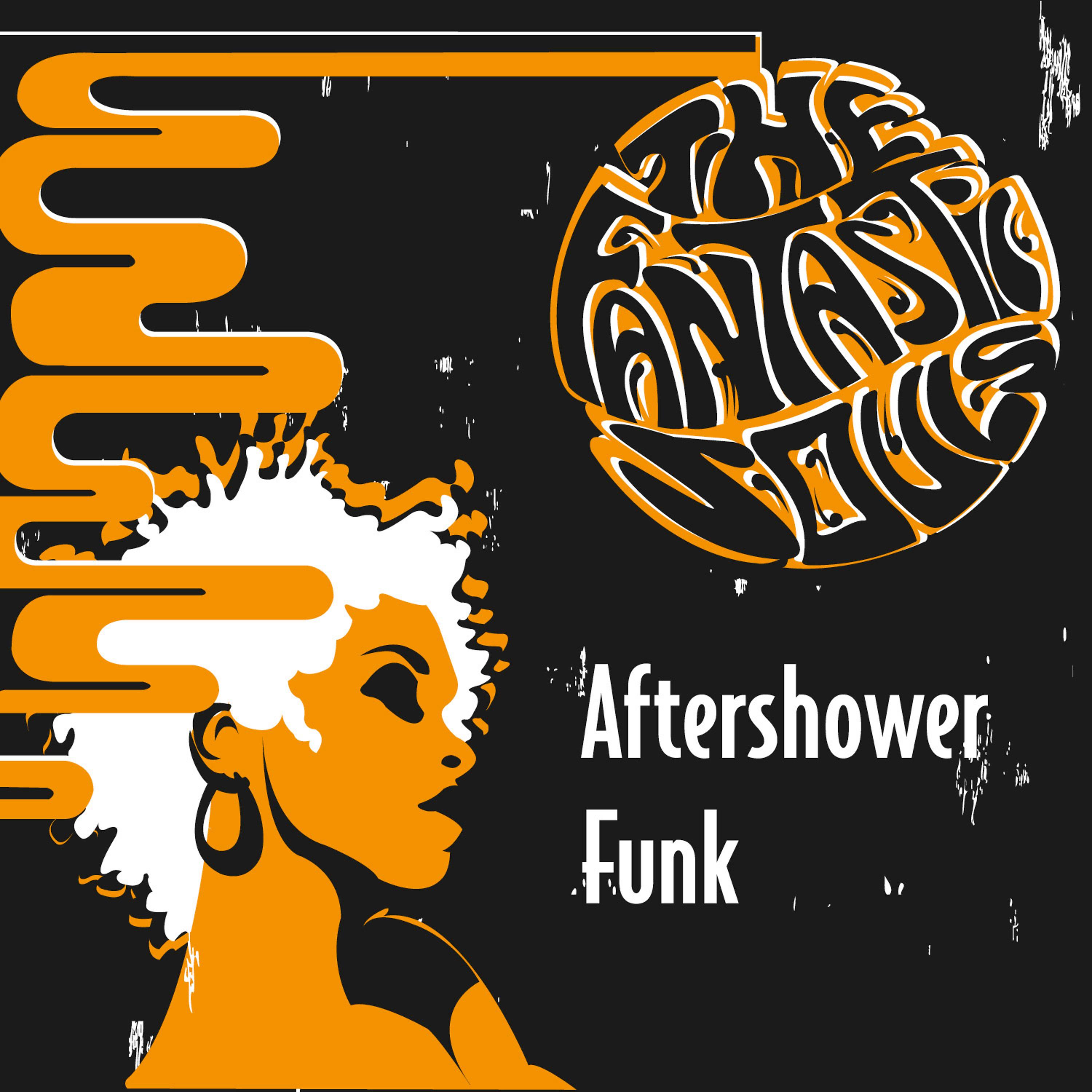 Постер альбома Aftershower Funk