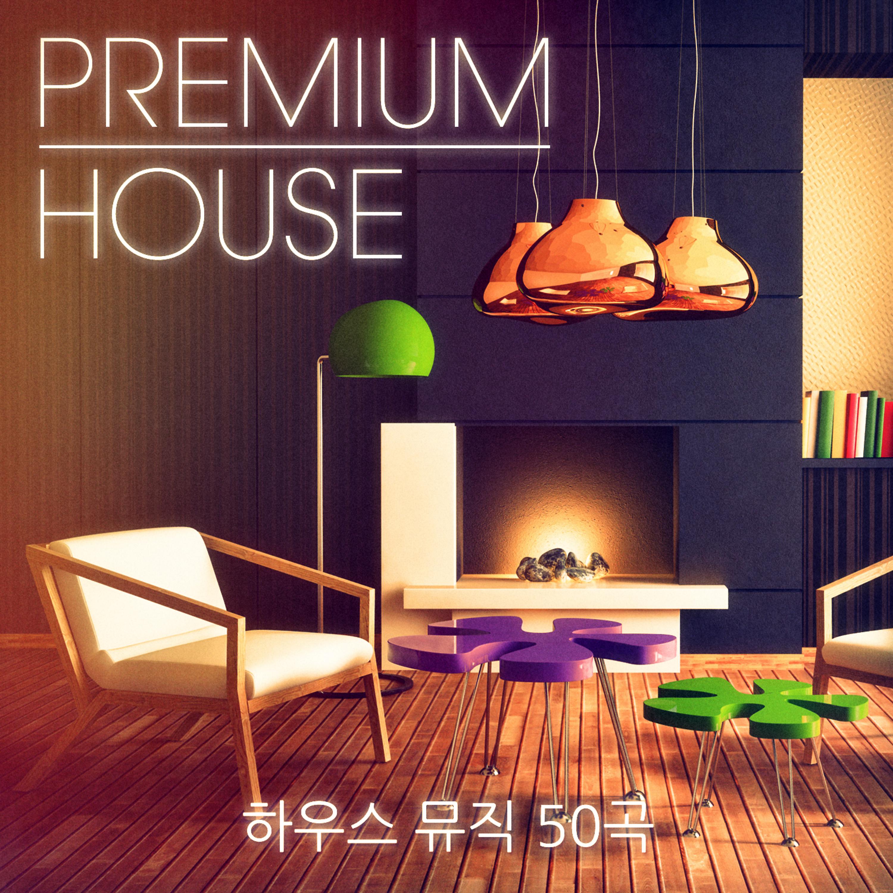 Постер альбома Premium House Music, Vol. 2 (깐깐한 클러버를 위한 정교한 하우스와 딥 하우스 뮤직)