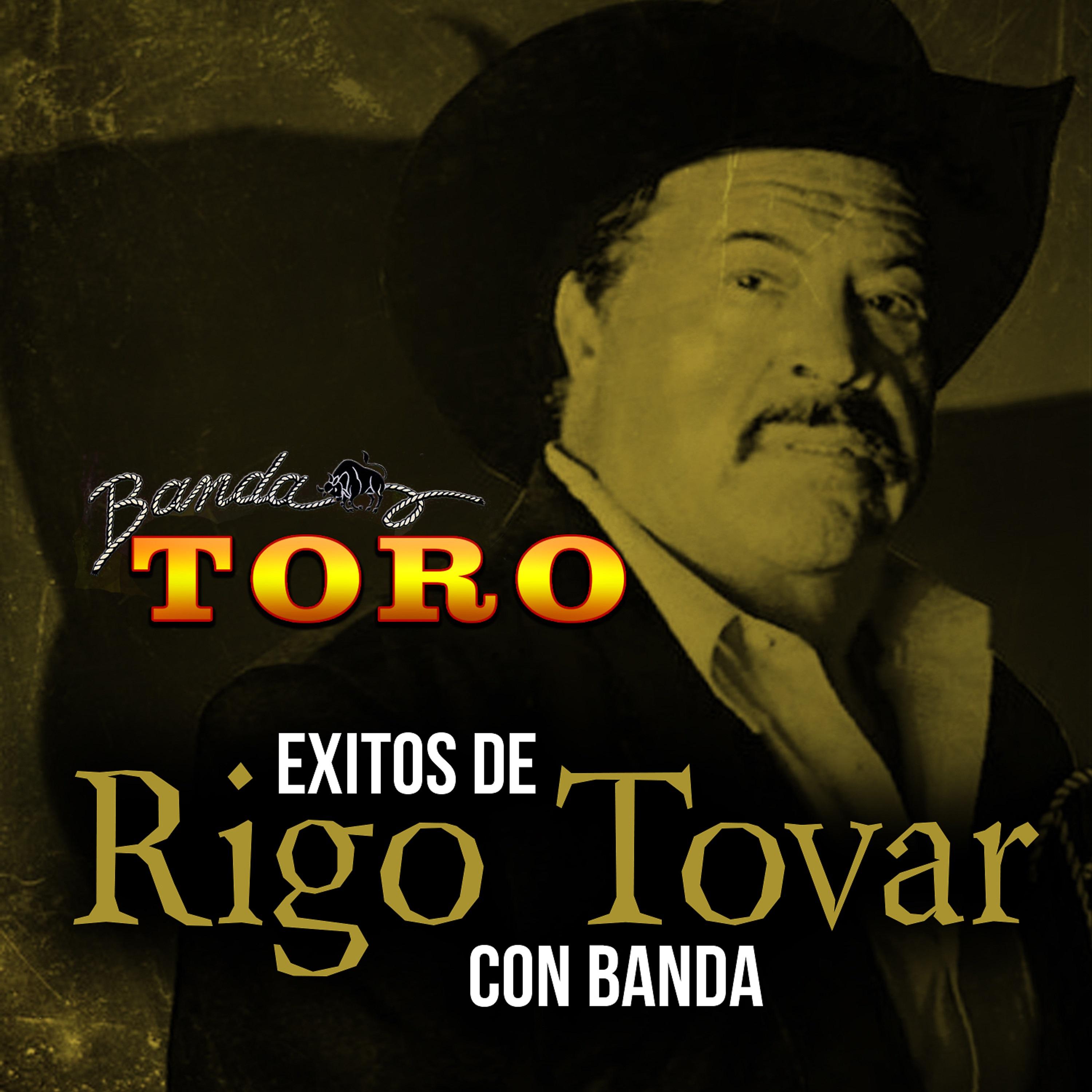 Постер альбома Exitos de Rigo Tovar Con Banda
