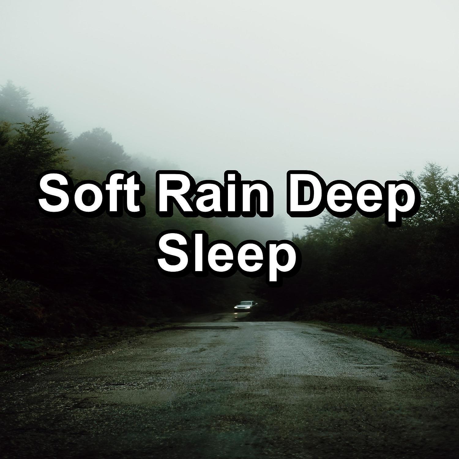 RAIN - Moderate Rain To Help with Insomnia For Babies to Sleep