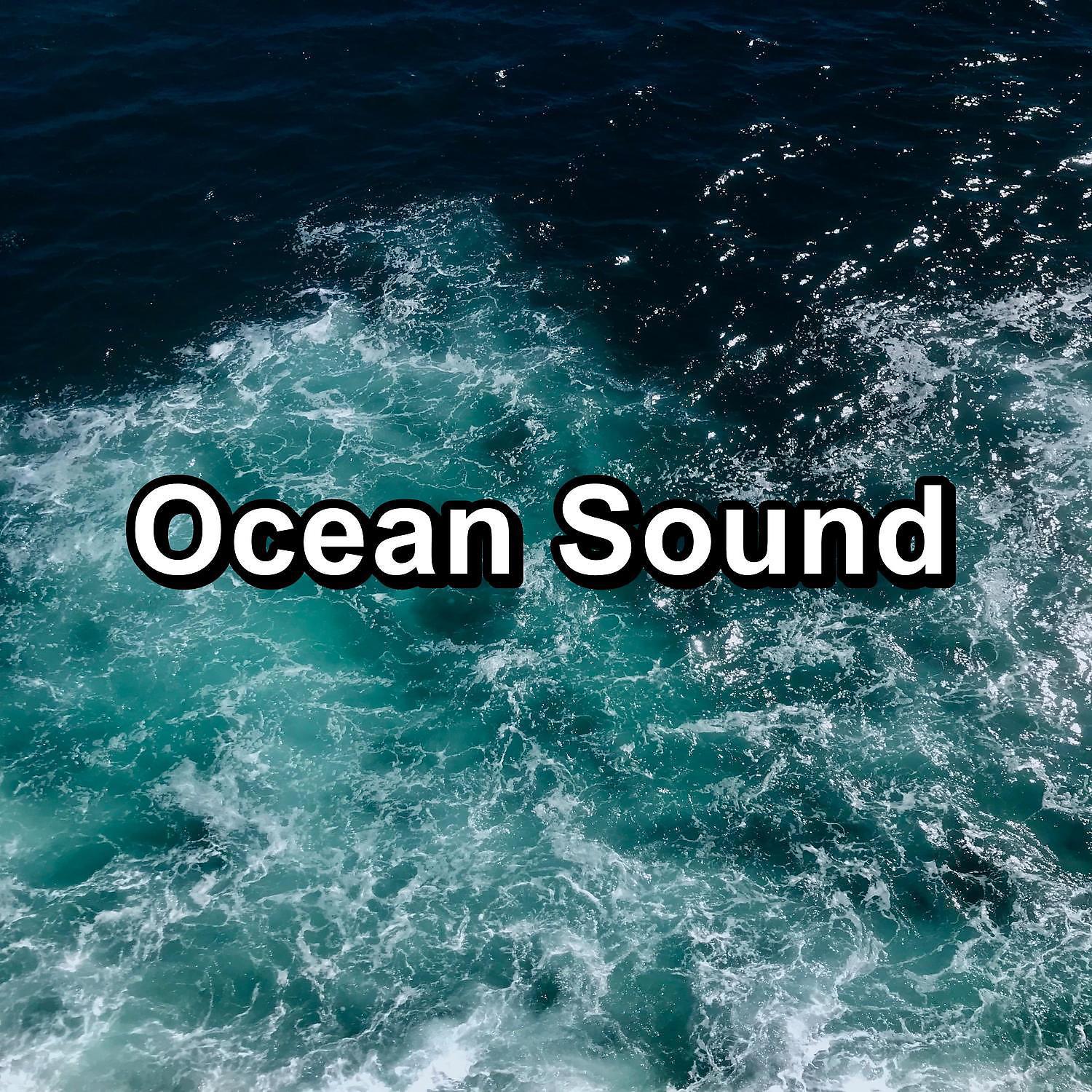 Постер альбома Ocean Sound