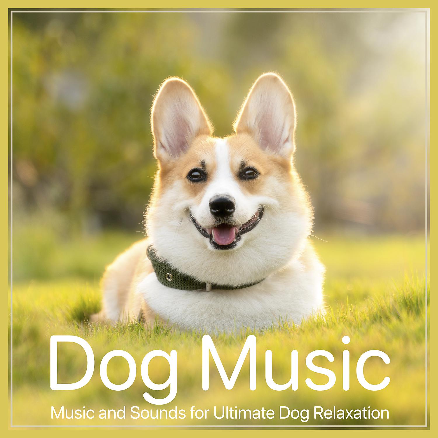 Постер альбома Dog Music: Music and Sounds for Ultimate Dog Relaxation