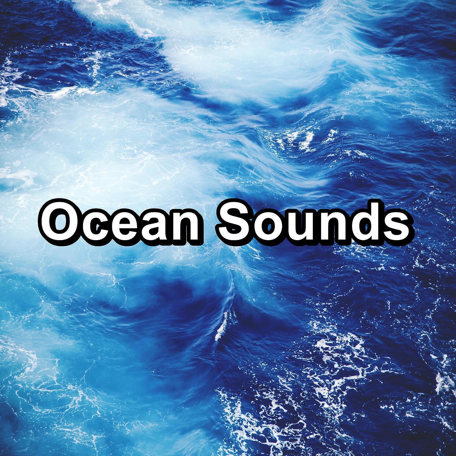 Echoes Of Nature - Sleepy Sea Sounds For Insomnia Relief For Taking a Nap