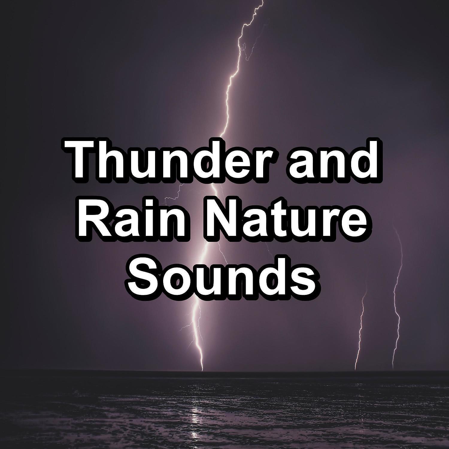 RAIN - Distant Rain Droplets Noise for Trouble Sleeping