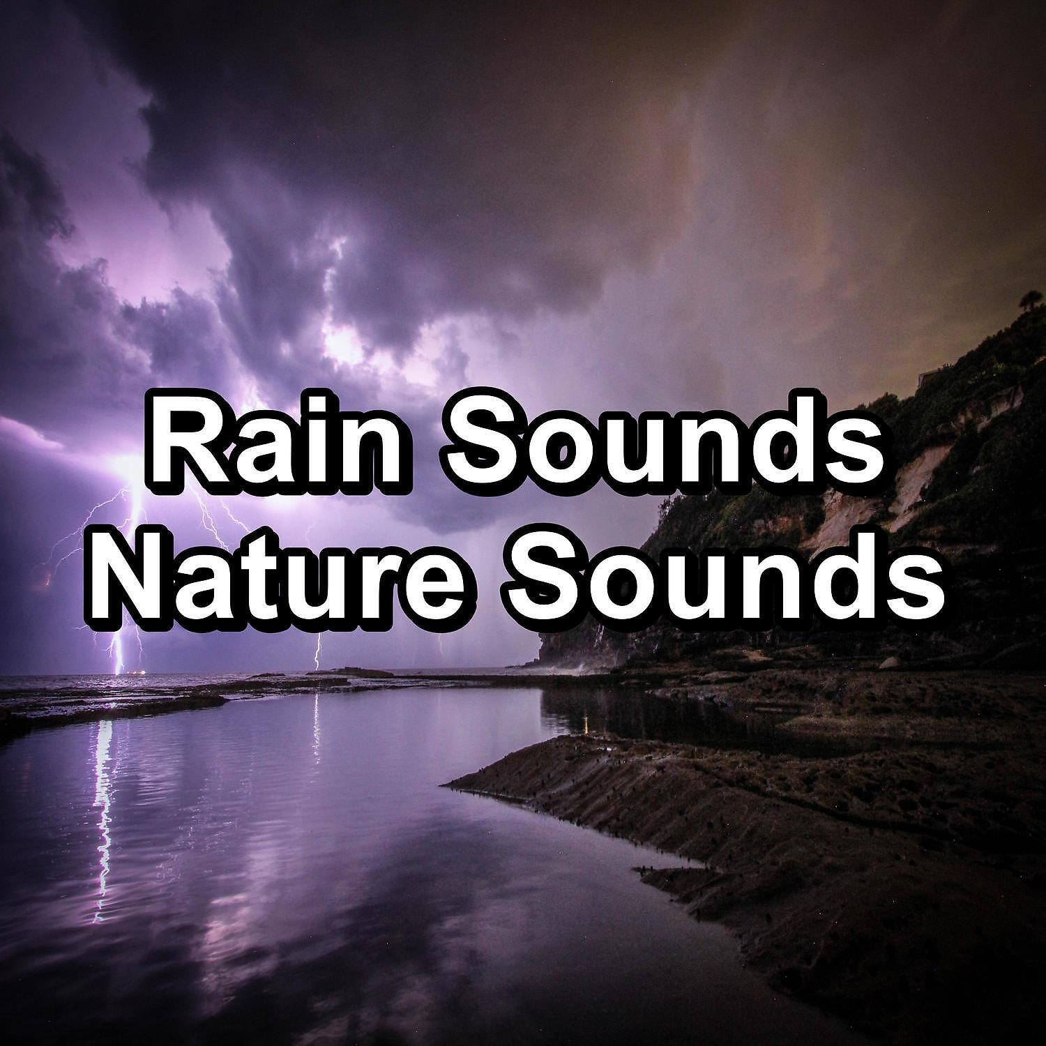 Thunder Storms - Soft Rain Droplets Calm Instrumental Sounds