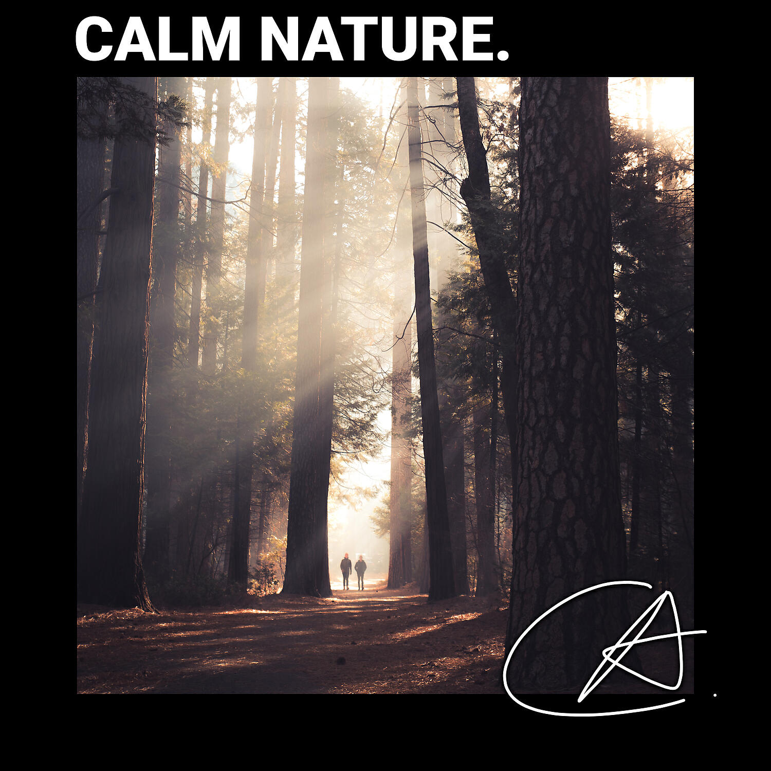 Nature Sounds - ASMR Amazing Sound of Lake Crickets with no loop in Nature for your babies to sleep