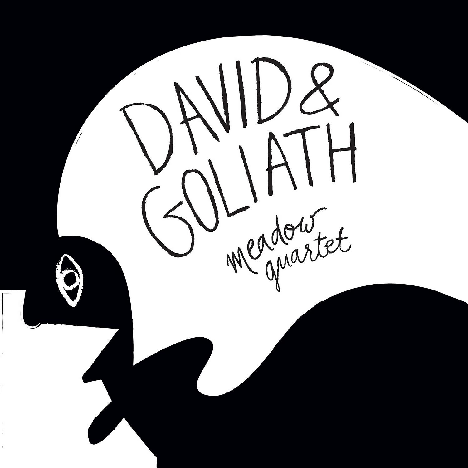 Постер альбома David & Goliath
