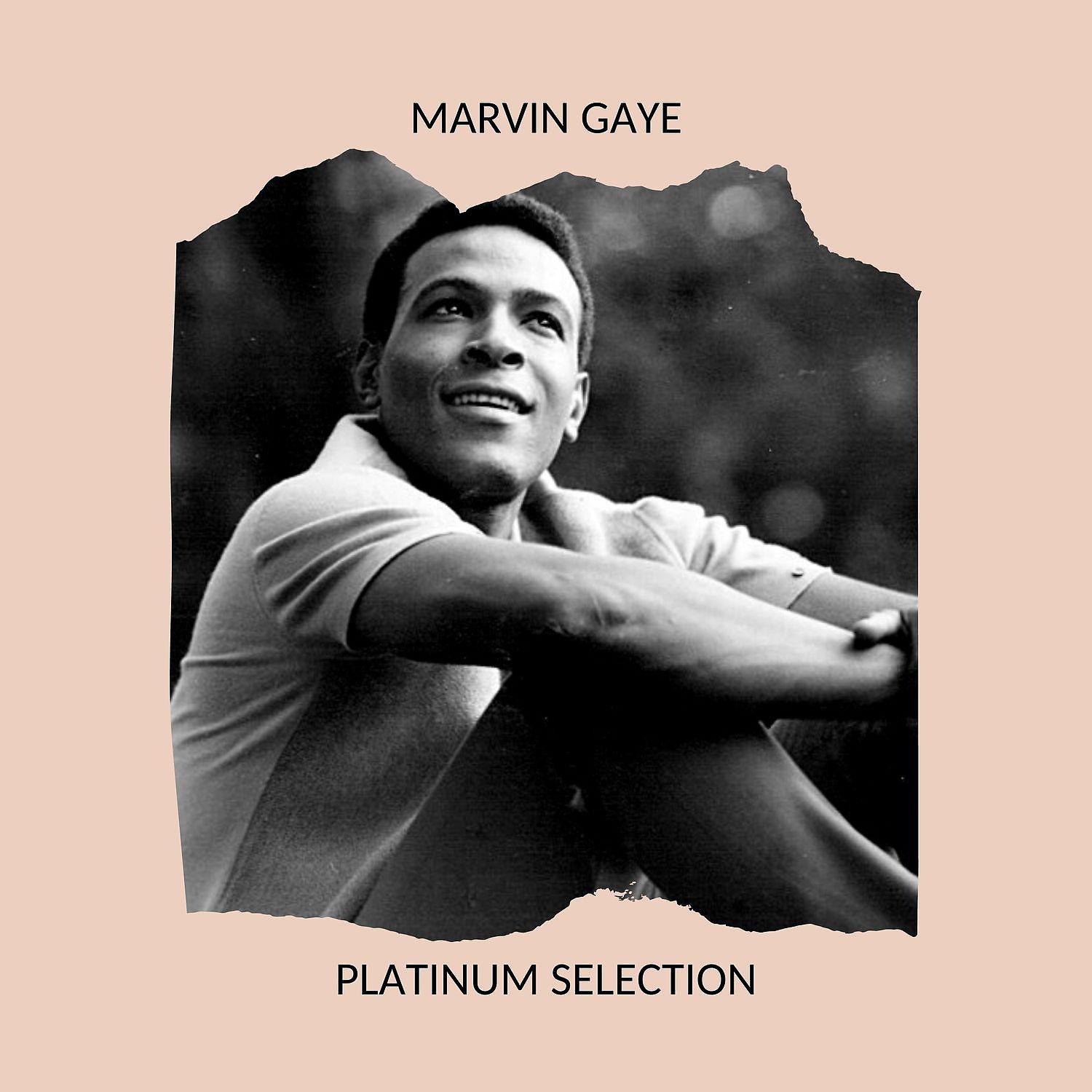 Постер альбома MARVIN GAYE - PLATINUM SELETION