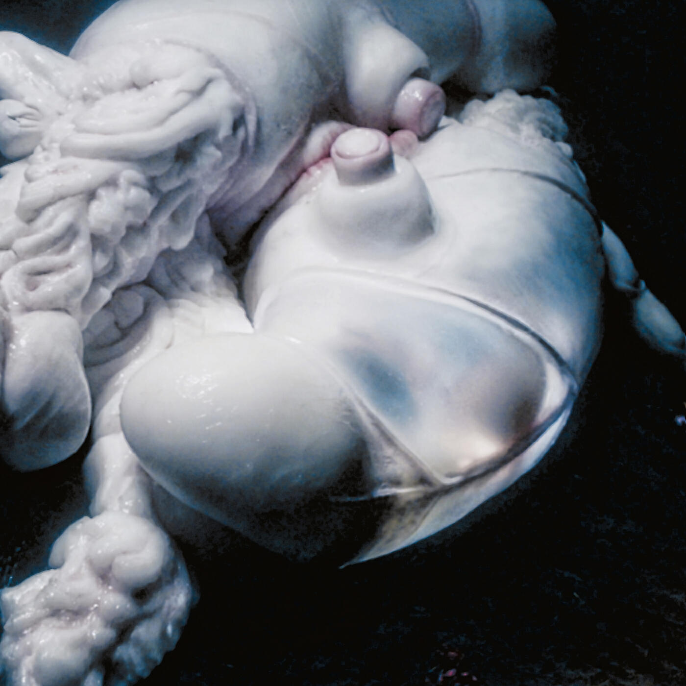 Bjork - Arisen My Senses (Jlin Rework)