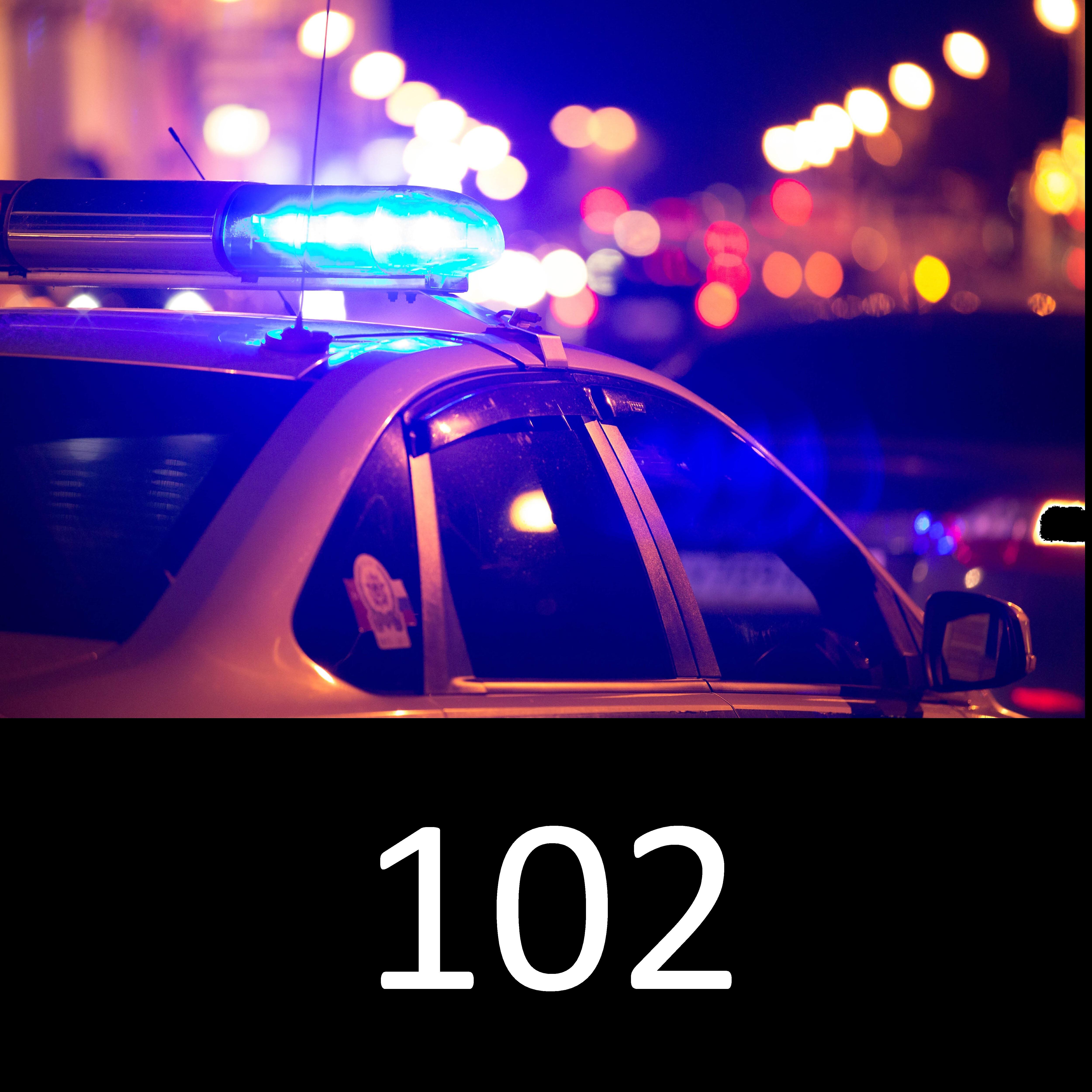 CASSETTE - 102