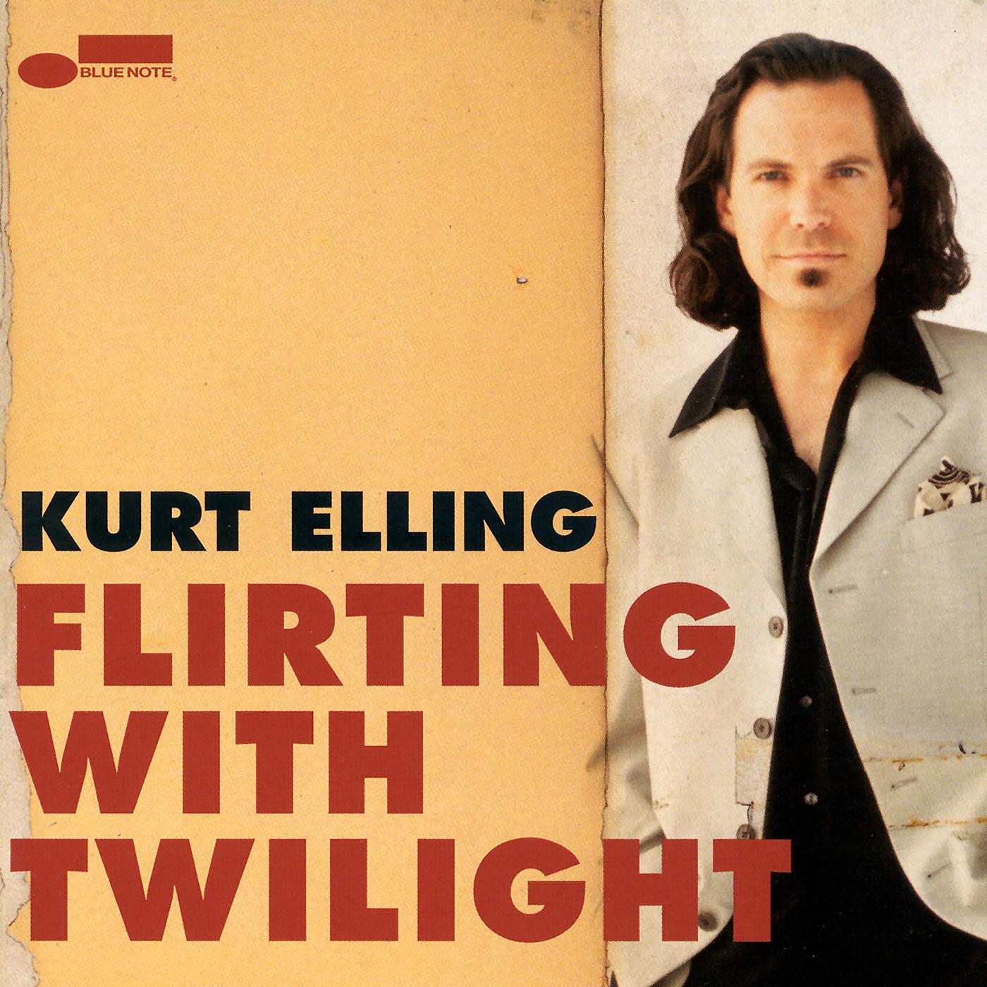 Постер альбома Flirting With Twilight