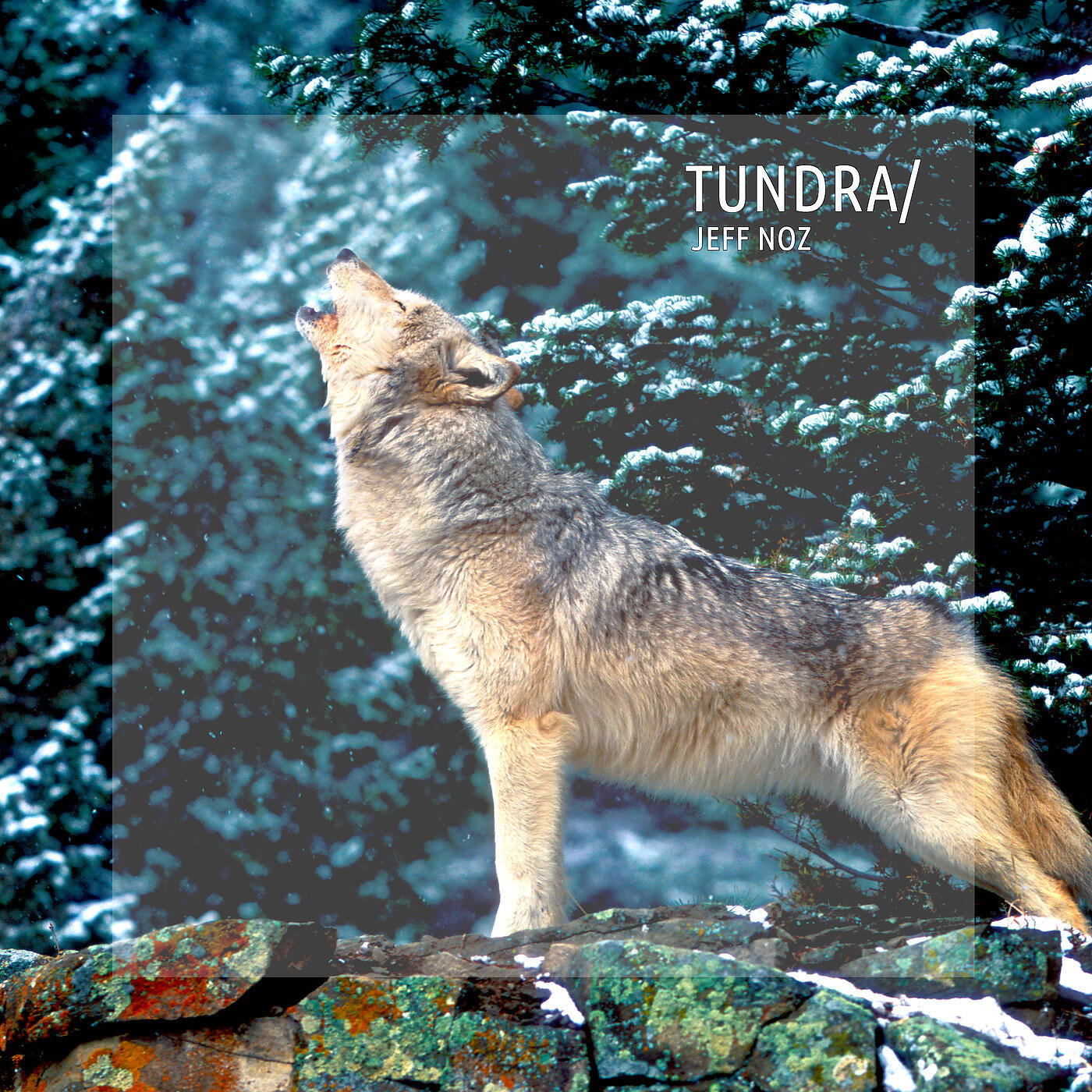 Jeff Noz - Tundra