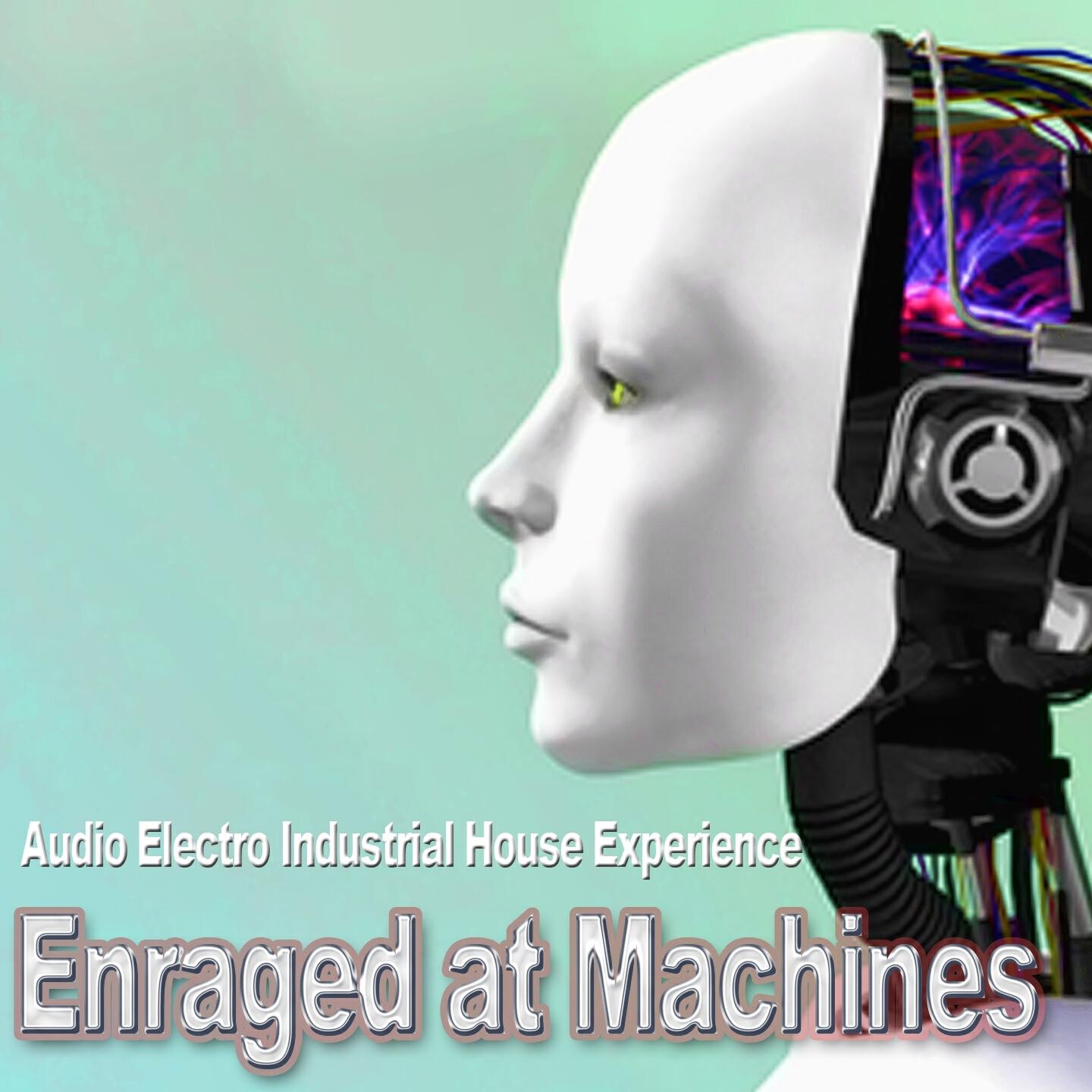 Enraged at Machines - The Rail (DJ Vnv Control Mix)