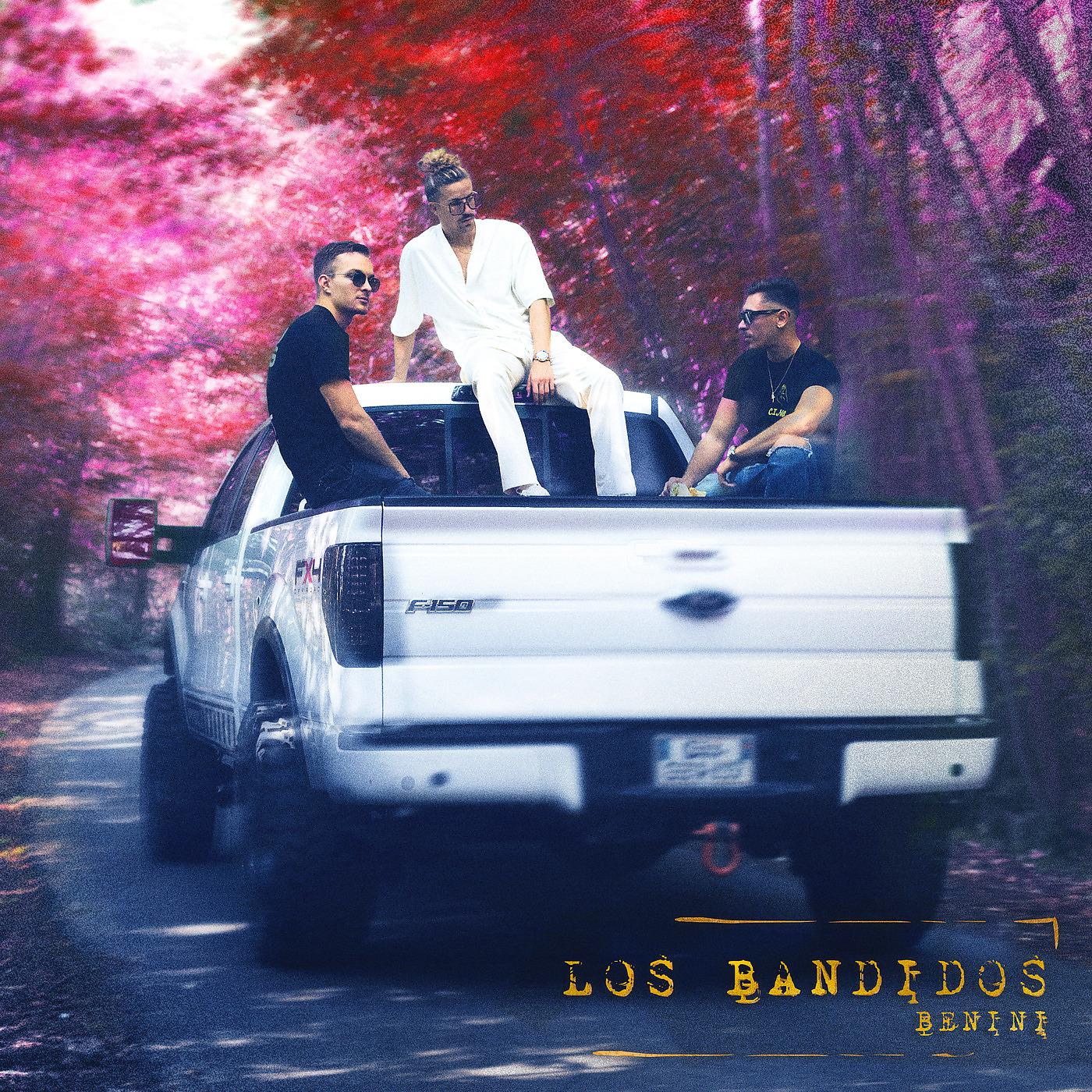 Постер альбома Los Bandidos