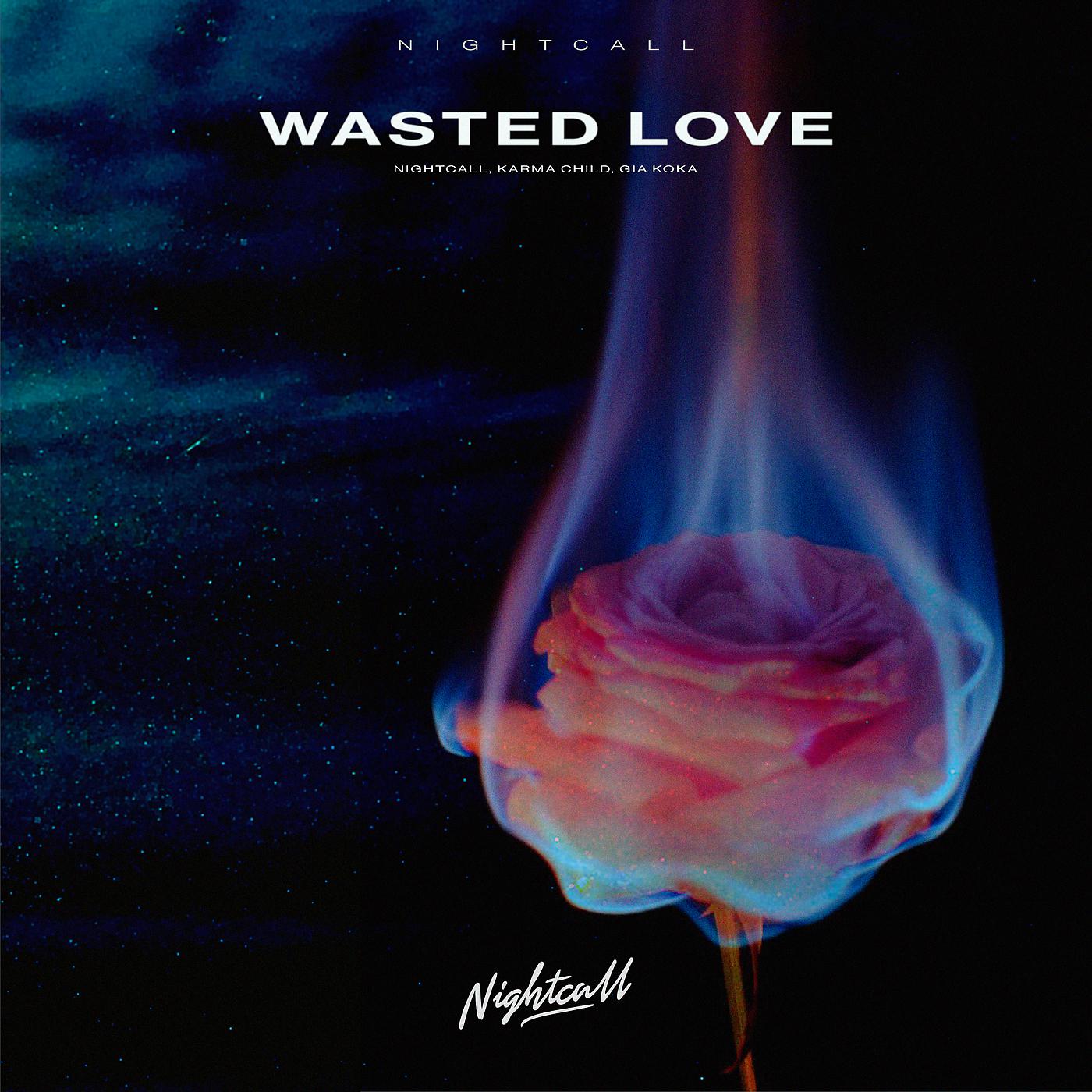 Постер альбома Wasted Love