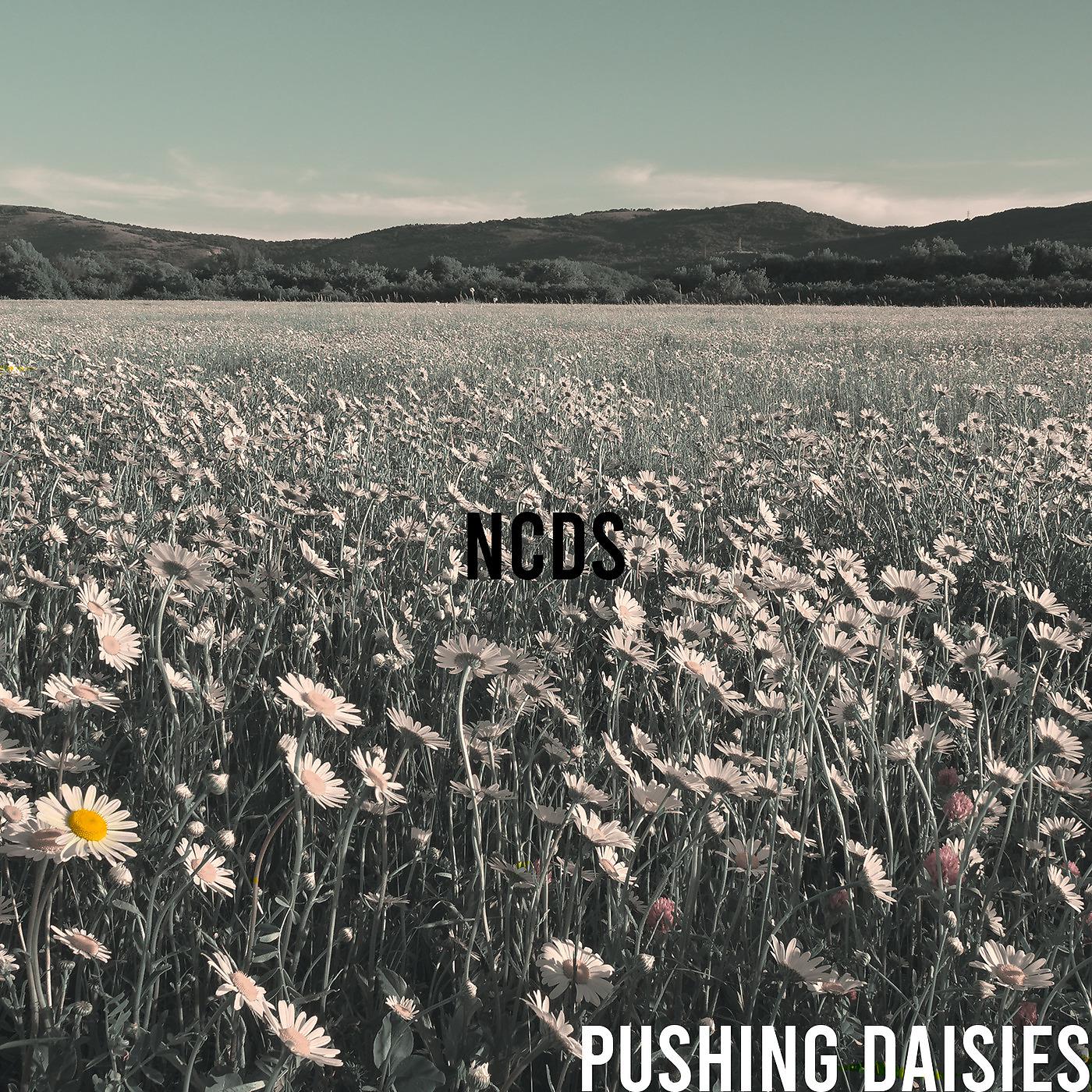Постер альбома Pushing Daisies - EP