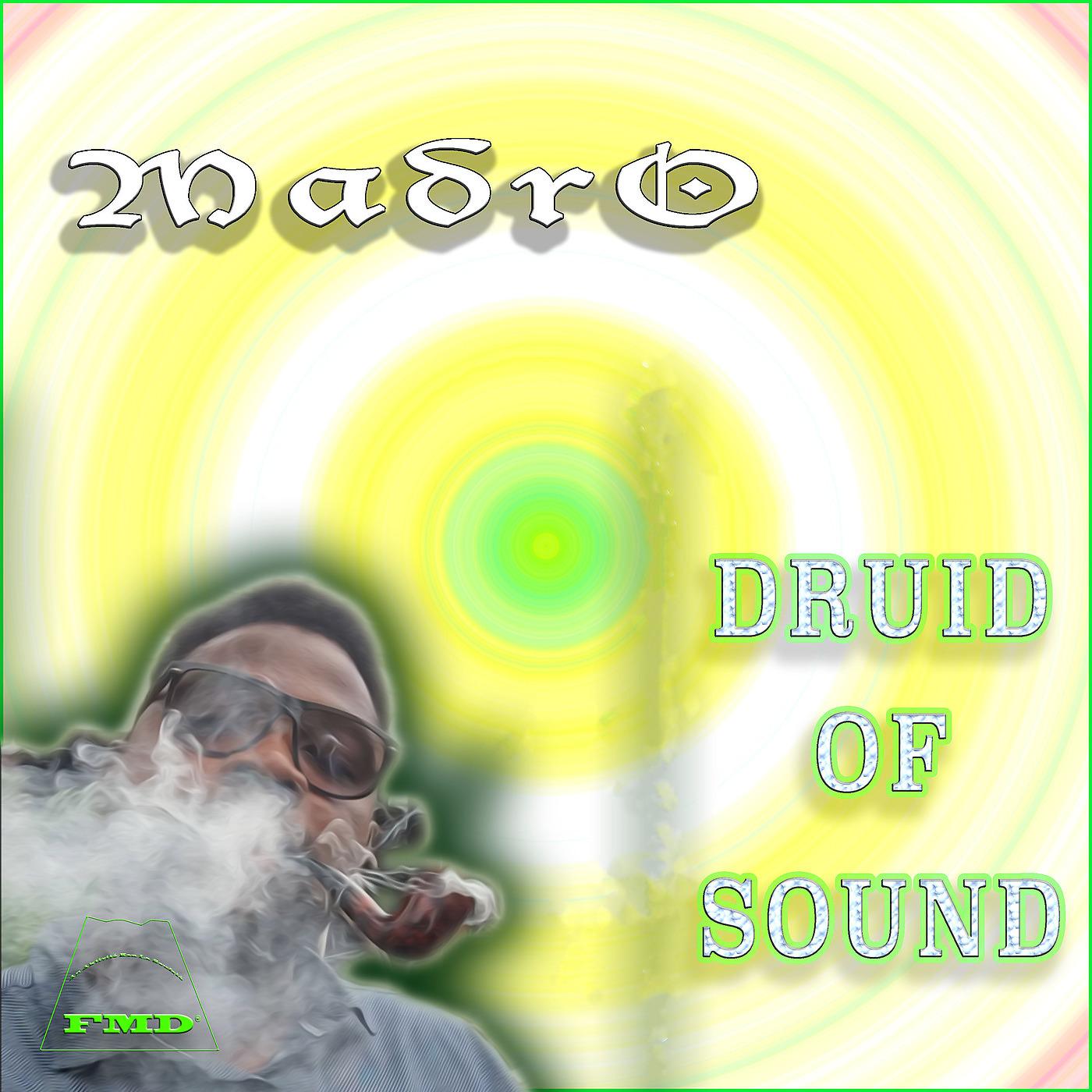 Постер альбома Druid of sound