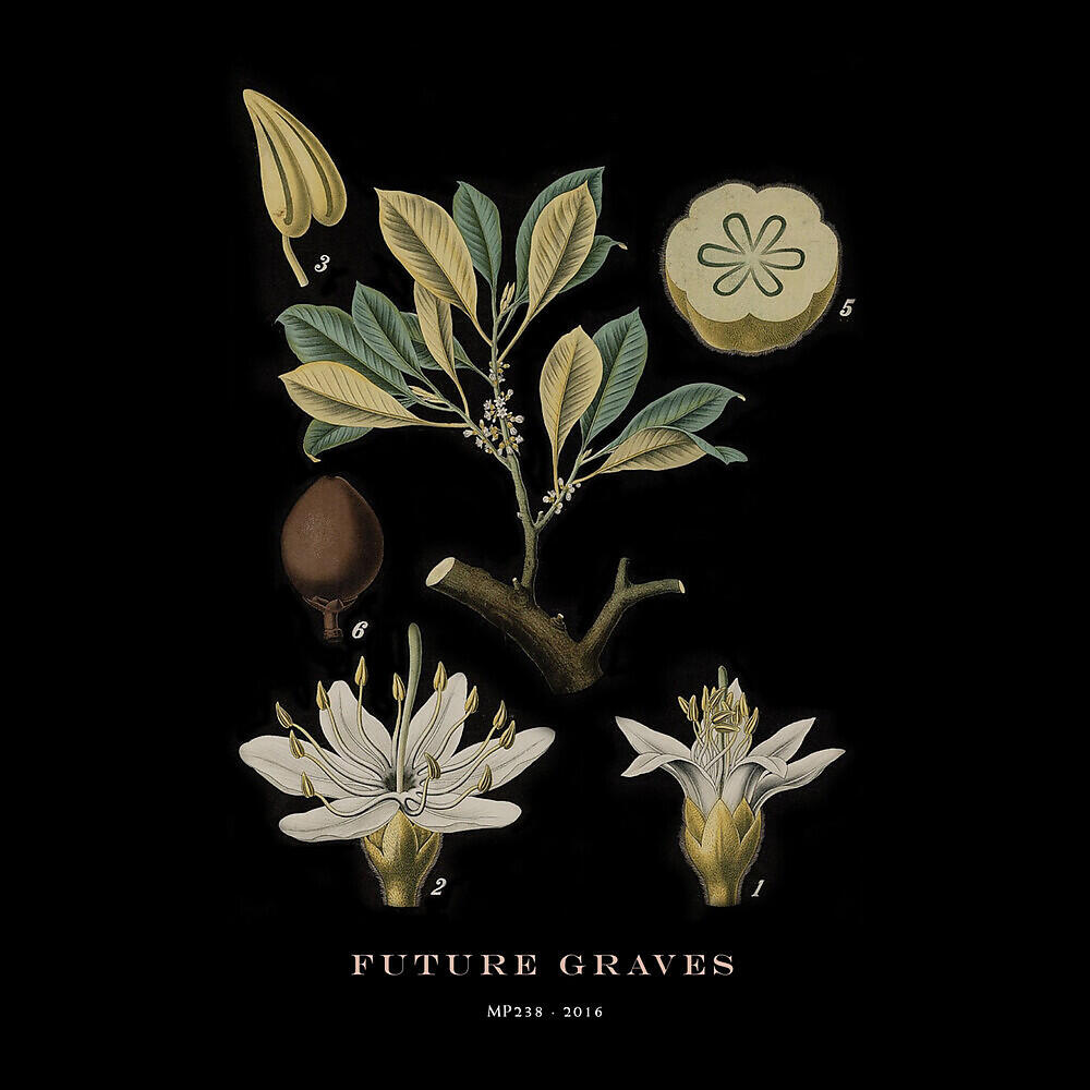Hola A Todo El Mundo - Future Graves