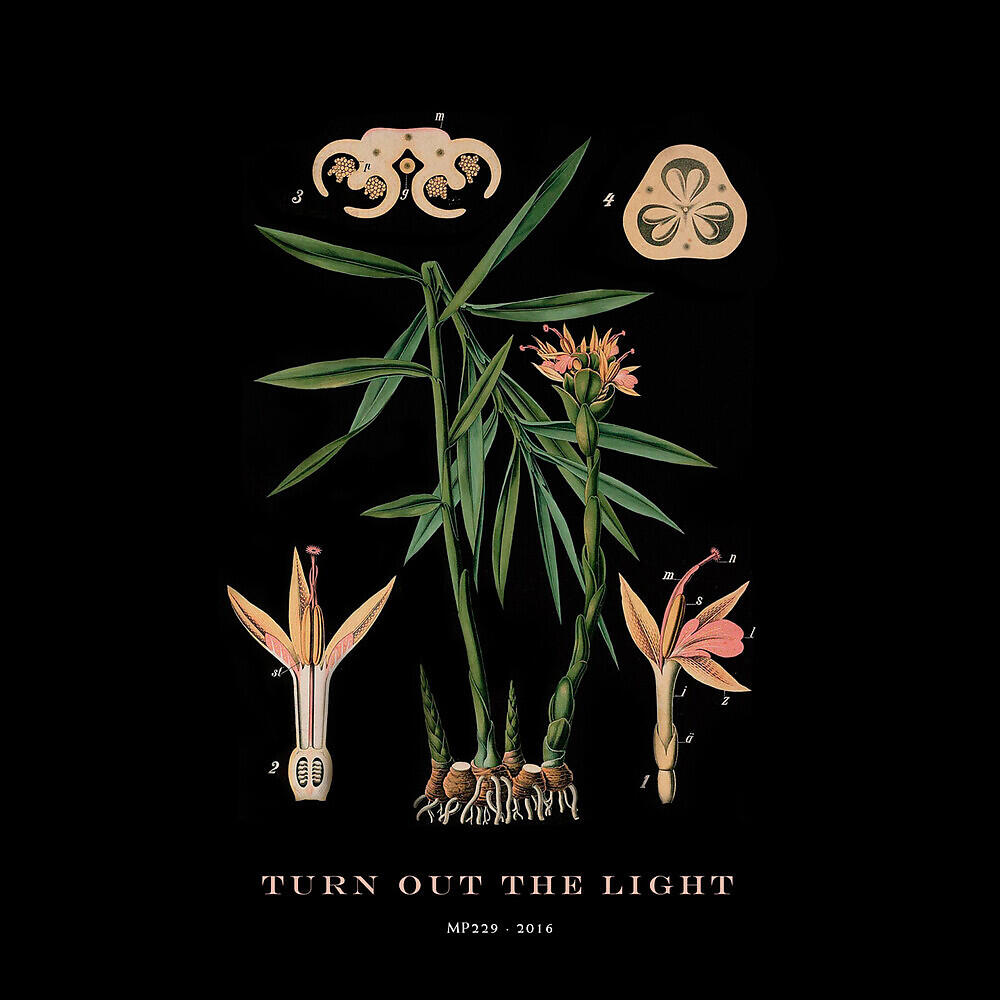 Hola A Todo El Mundo - Turn out the Light