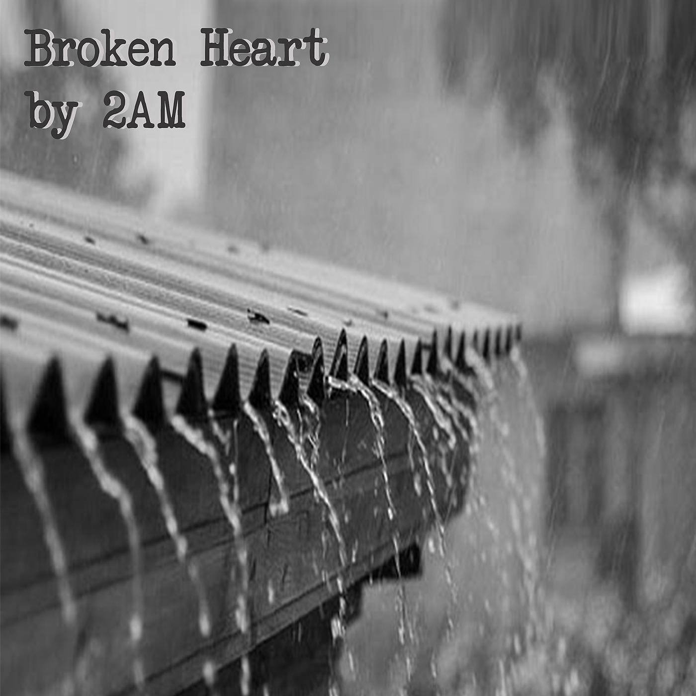 Постер альбома Broken Heart.