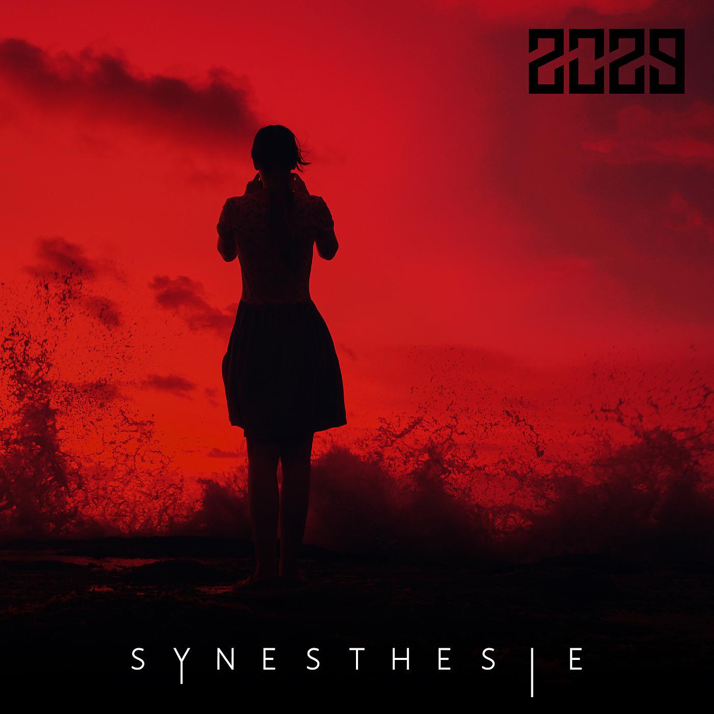 Постер альбома Synesthésie