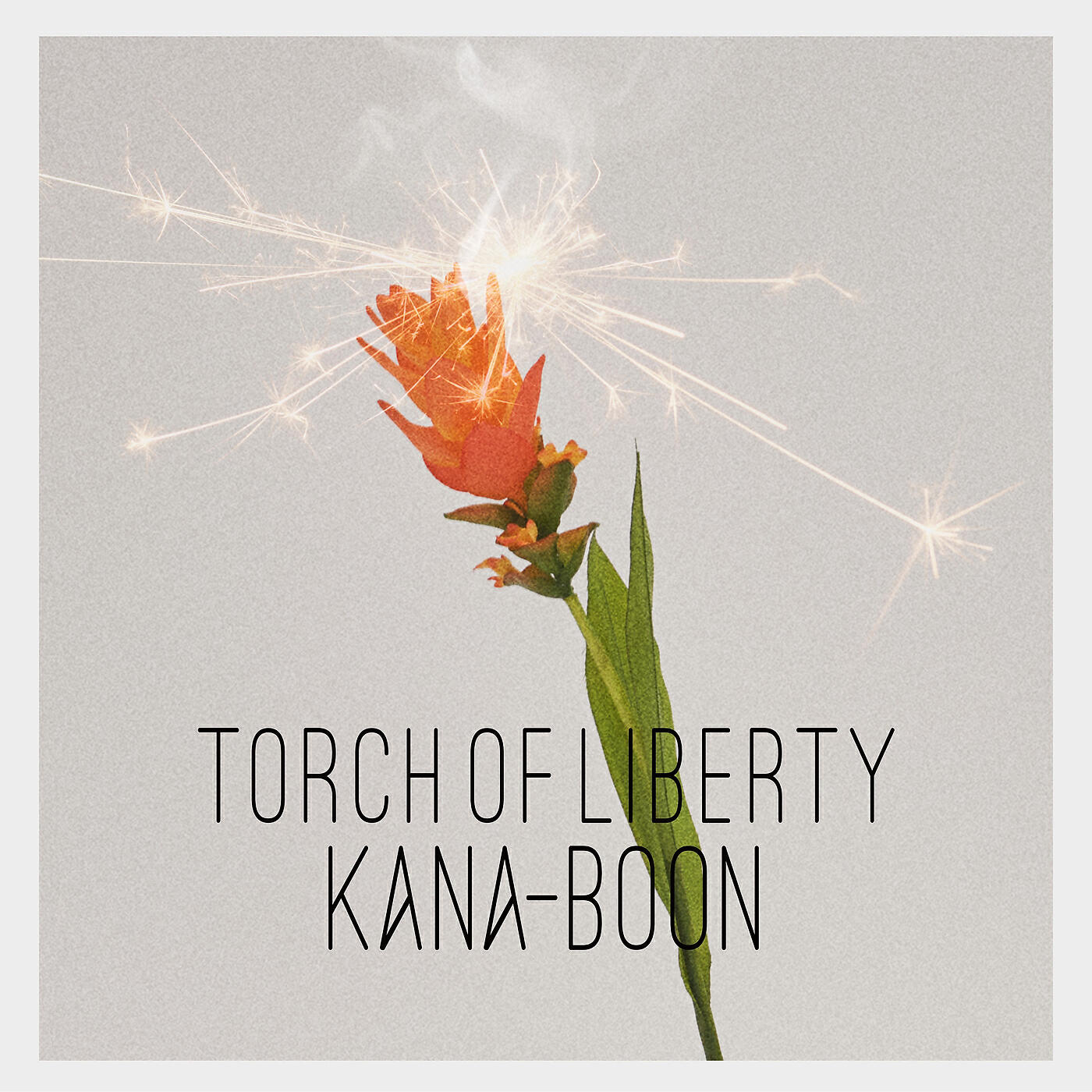 KANA-BOON - Torch of Liberty