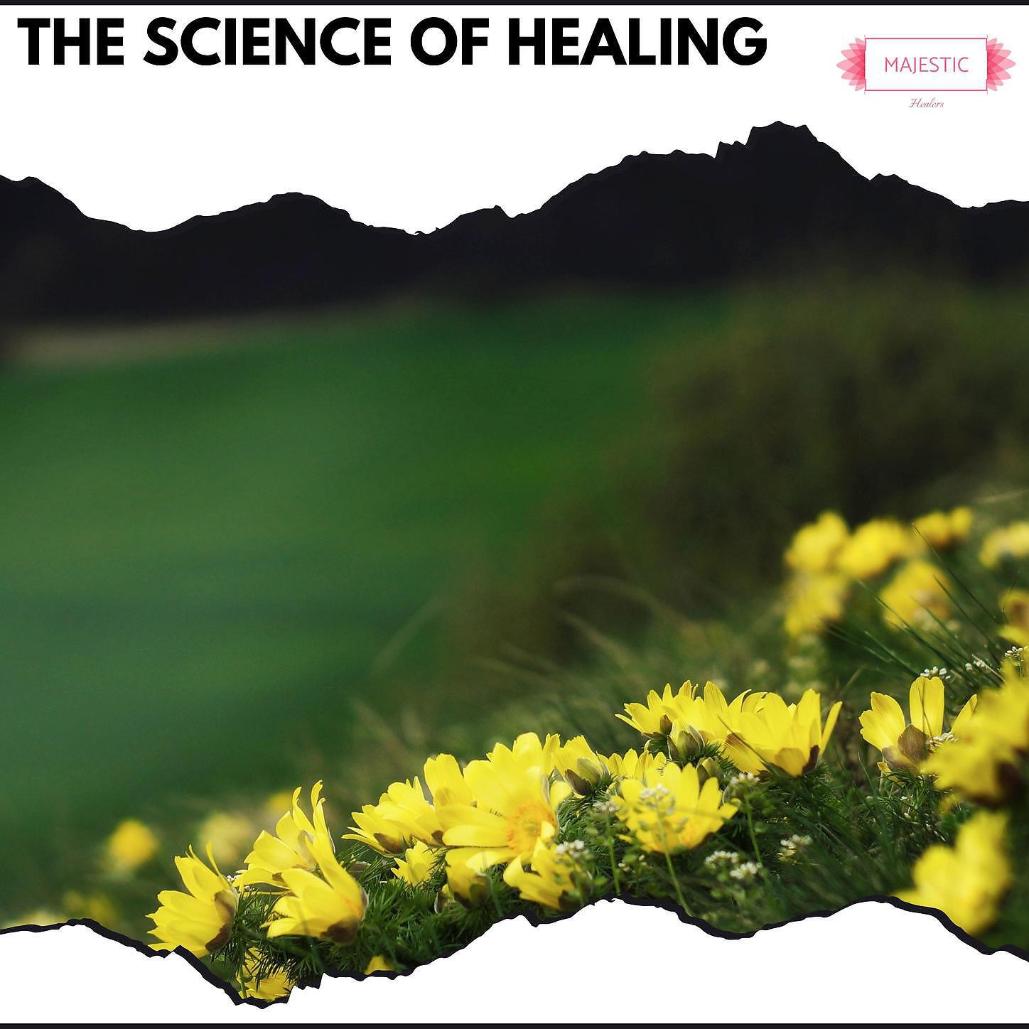 Serenity Calls - Aqua And Sweet Nodes Healing