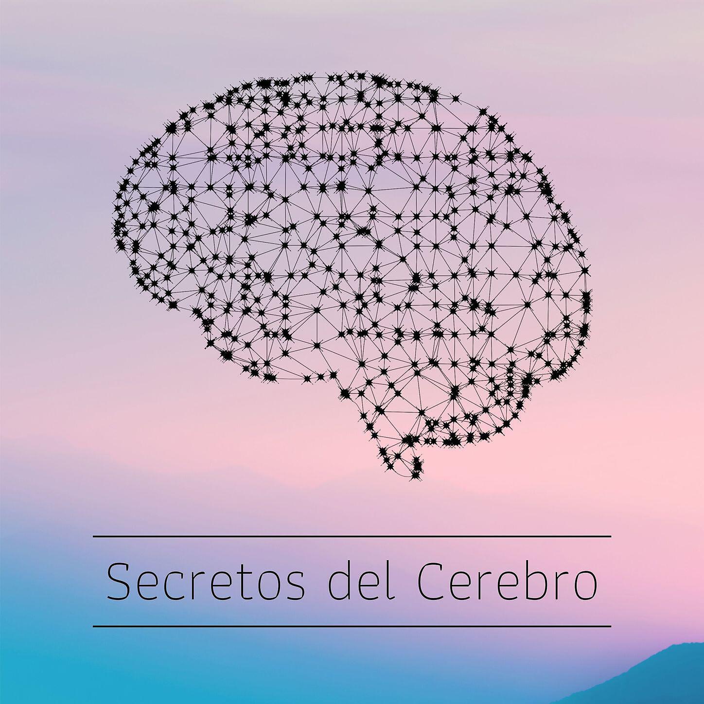 Musica Para Estudiar Academy - Ejercicios Mentales