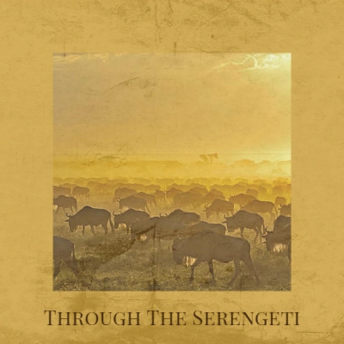 Dirk Ehlert - Through The Serengeti