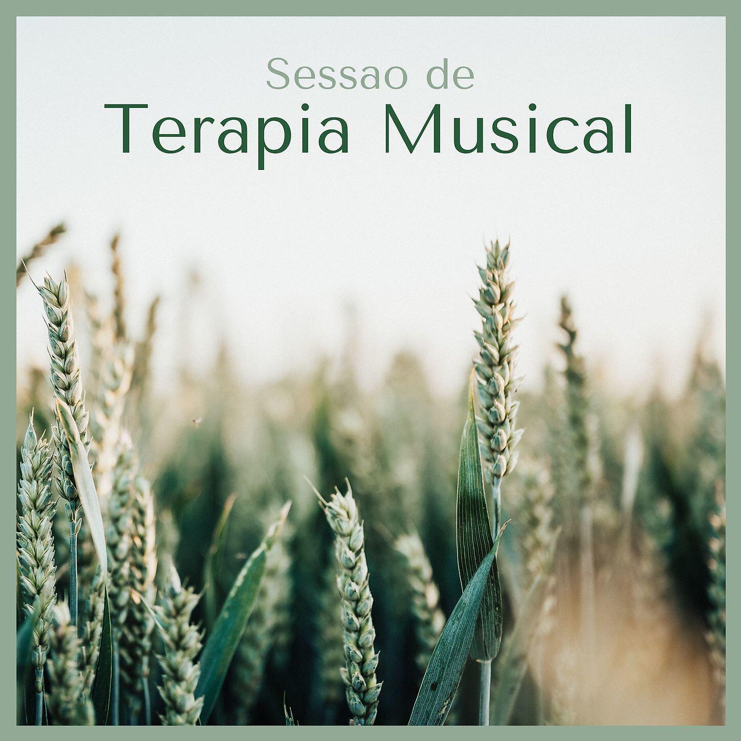 Brenda Natural - Atmosfera de Tranquilidade