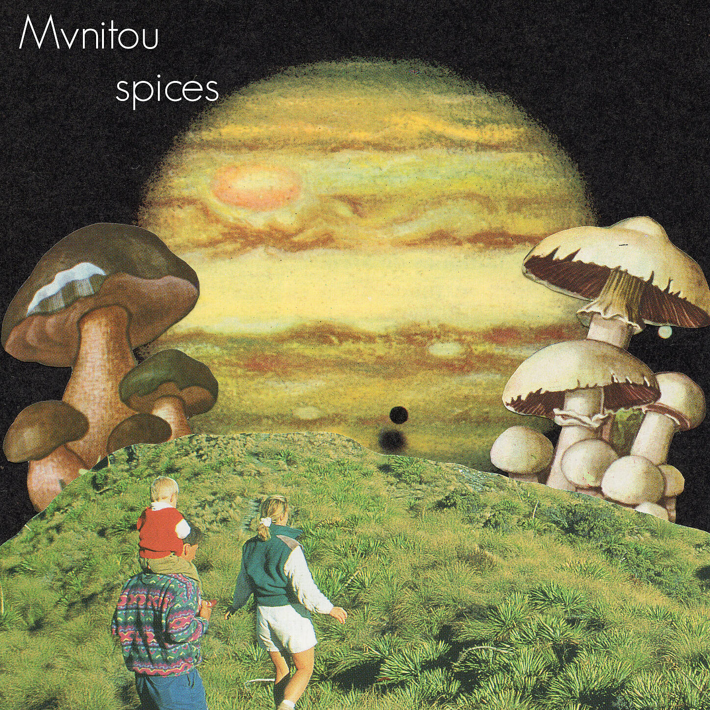 mvnitou - anise