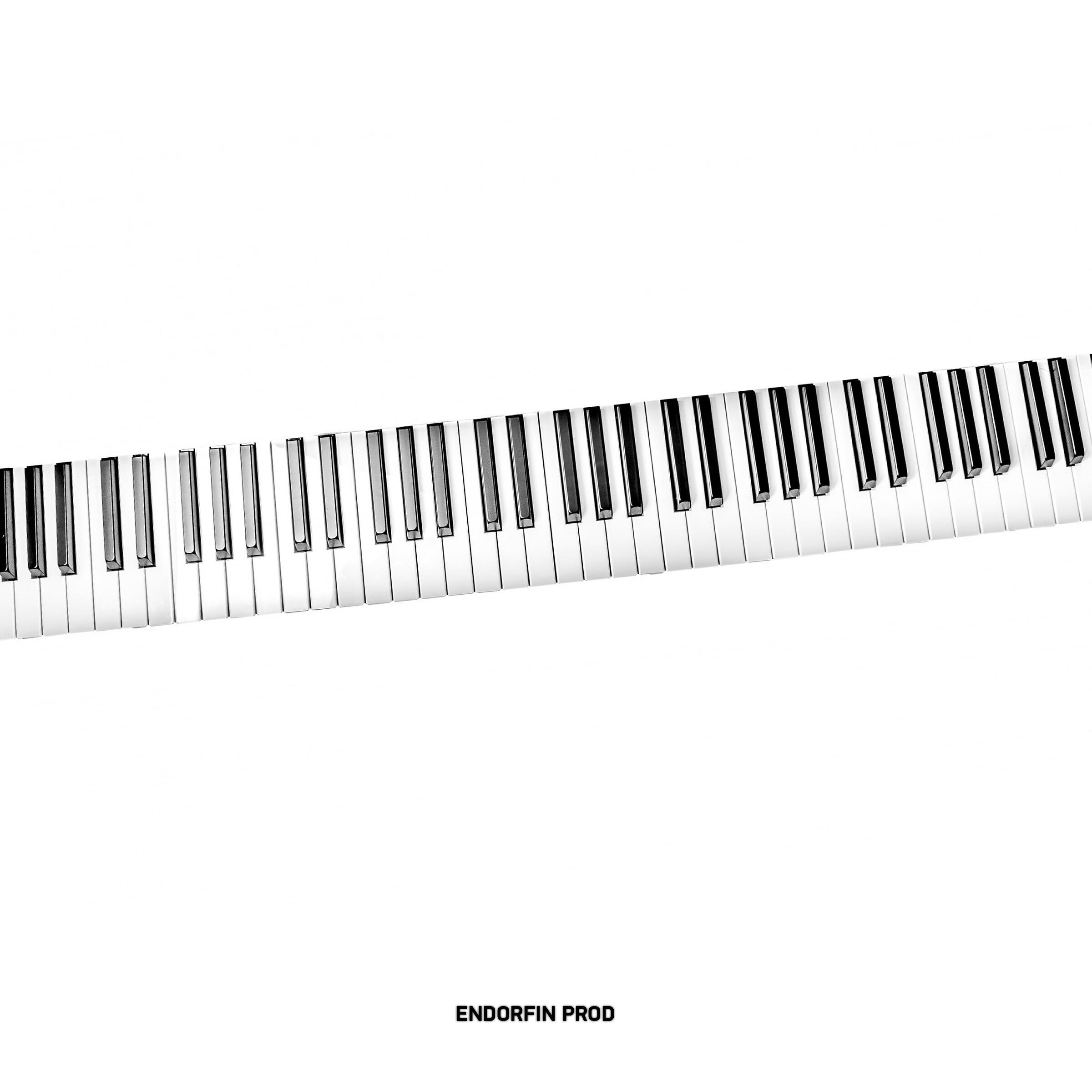 ENDORFIN PROD - She Loves My Songs So Much