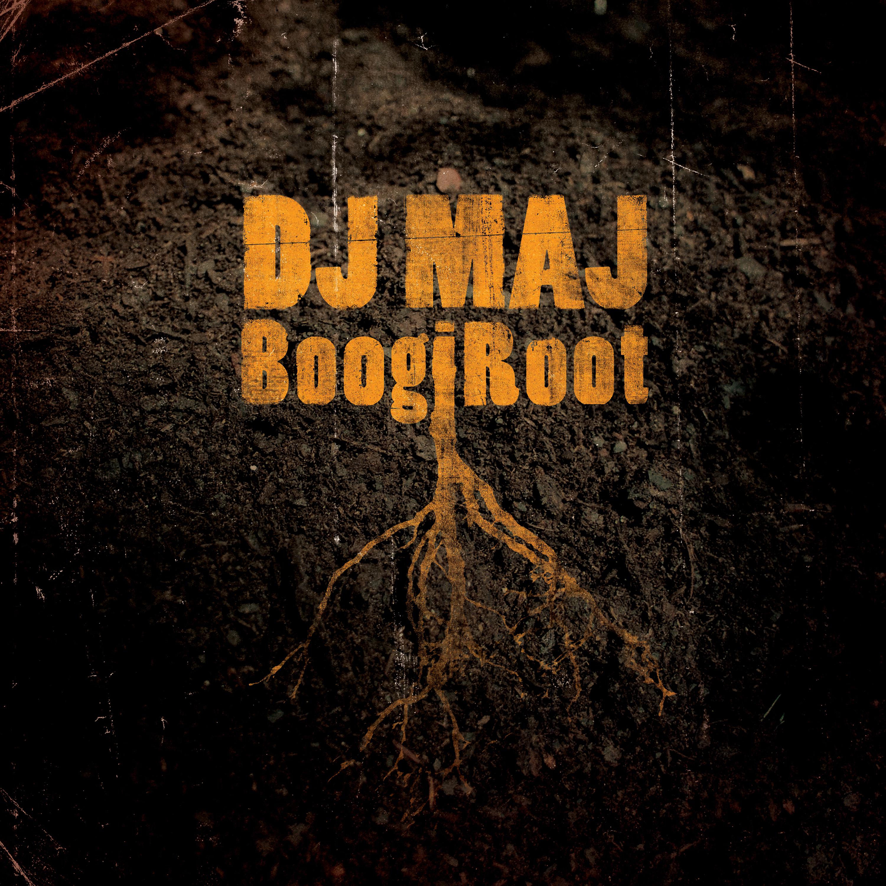 Постер альбома Boogiroot