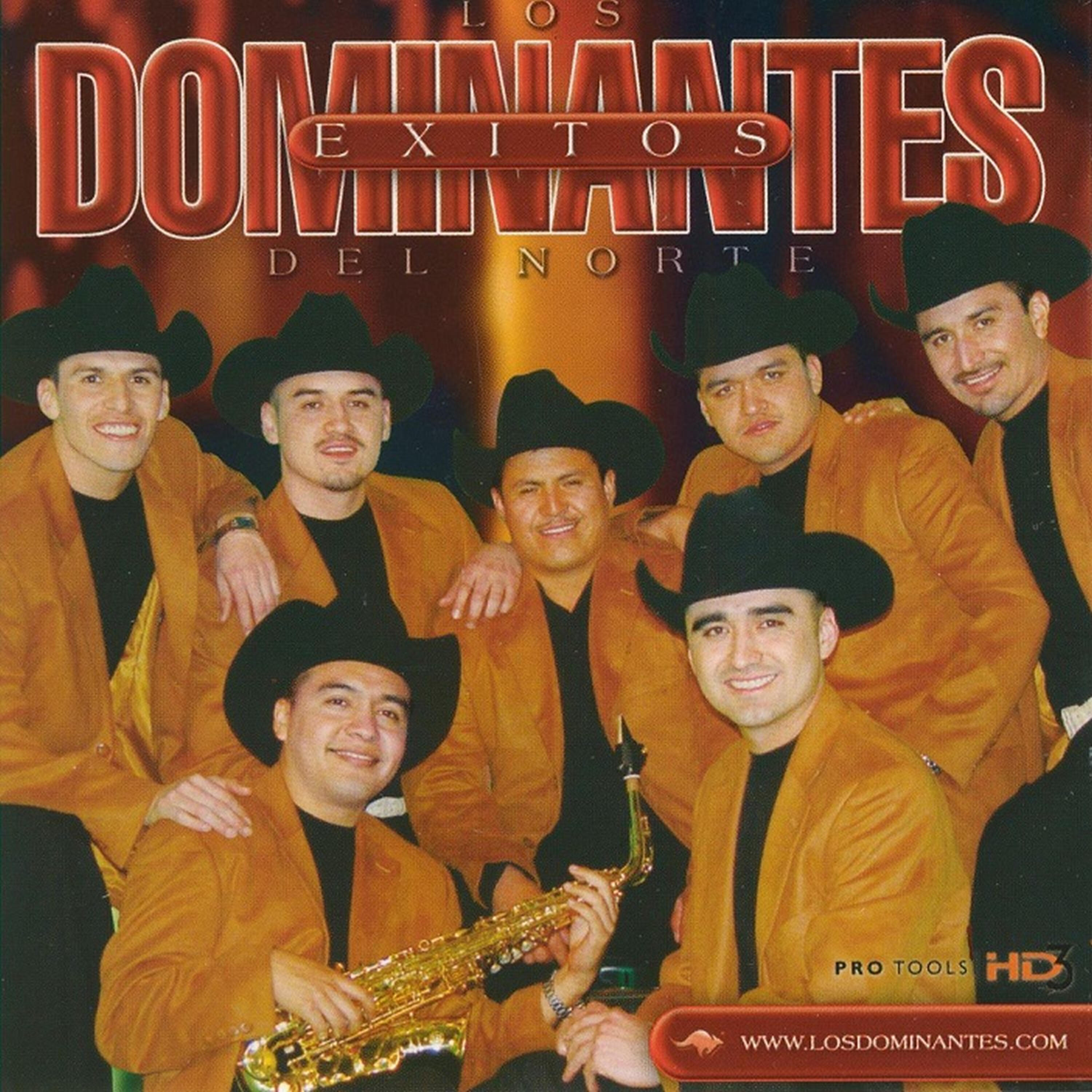 Los Dominantes Del Norte - La Huella de Mis Besos