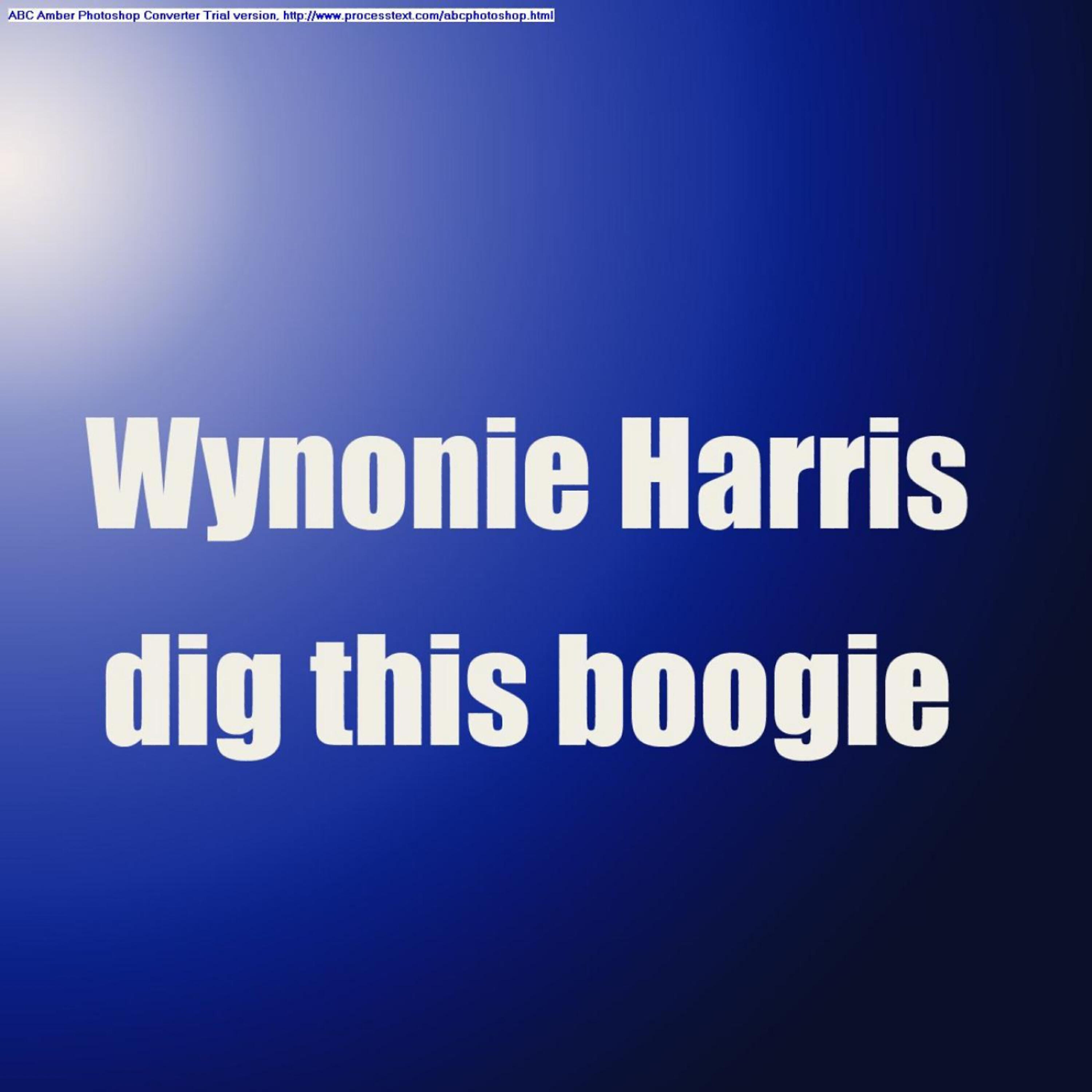 WYNONIE HARRIS - Somebody Changed The Lock On The Door