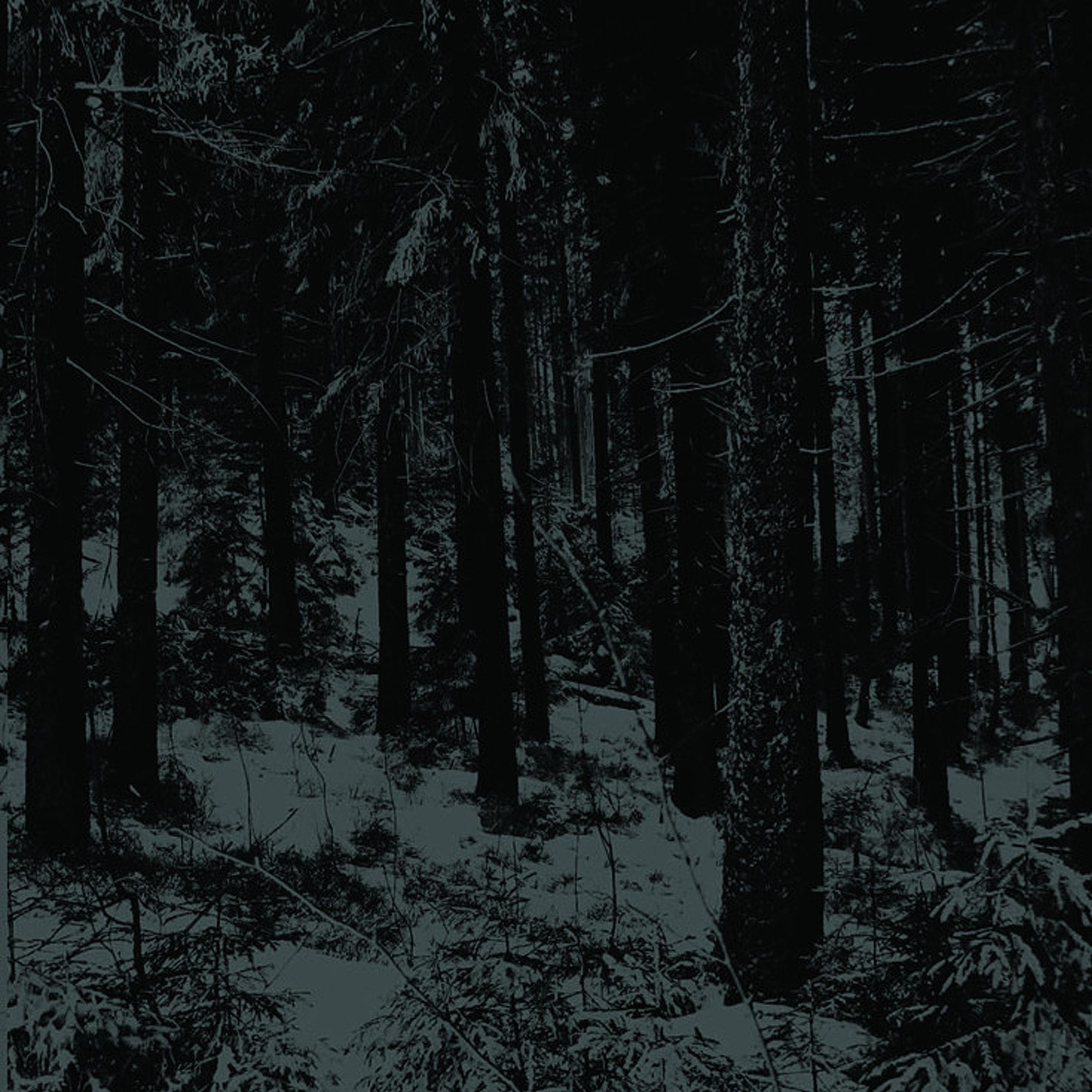 Постер альбома Abstrakter Wald