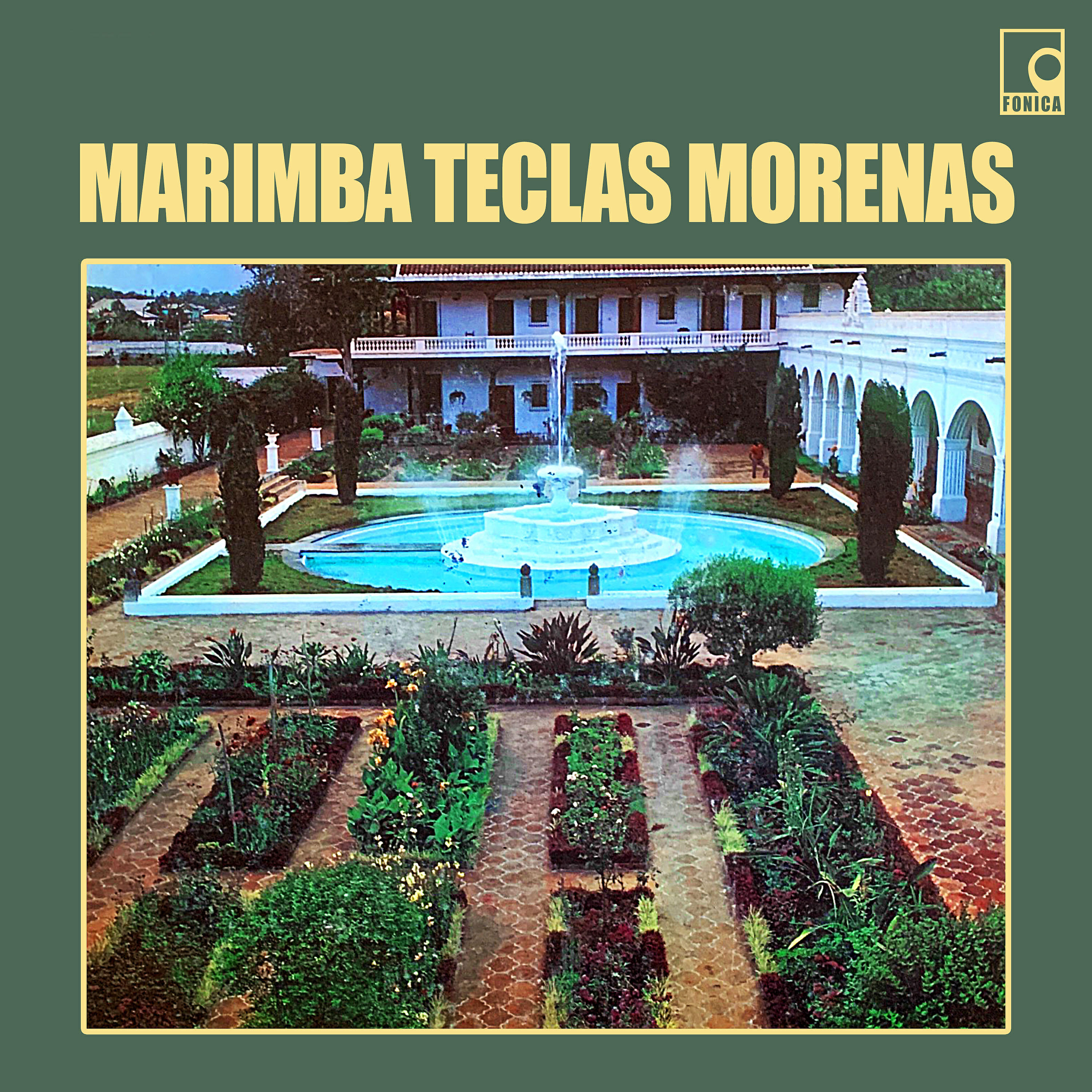 Marimba Teclas Morenas - Costa Grande