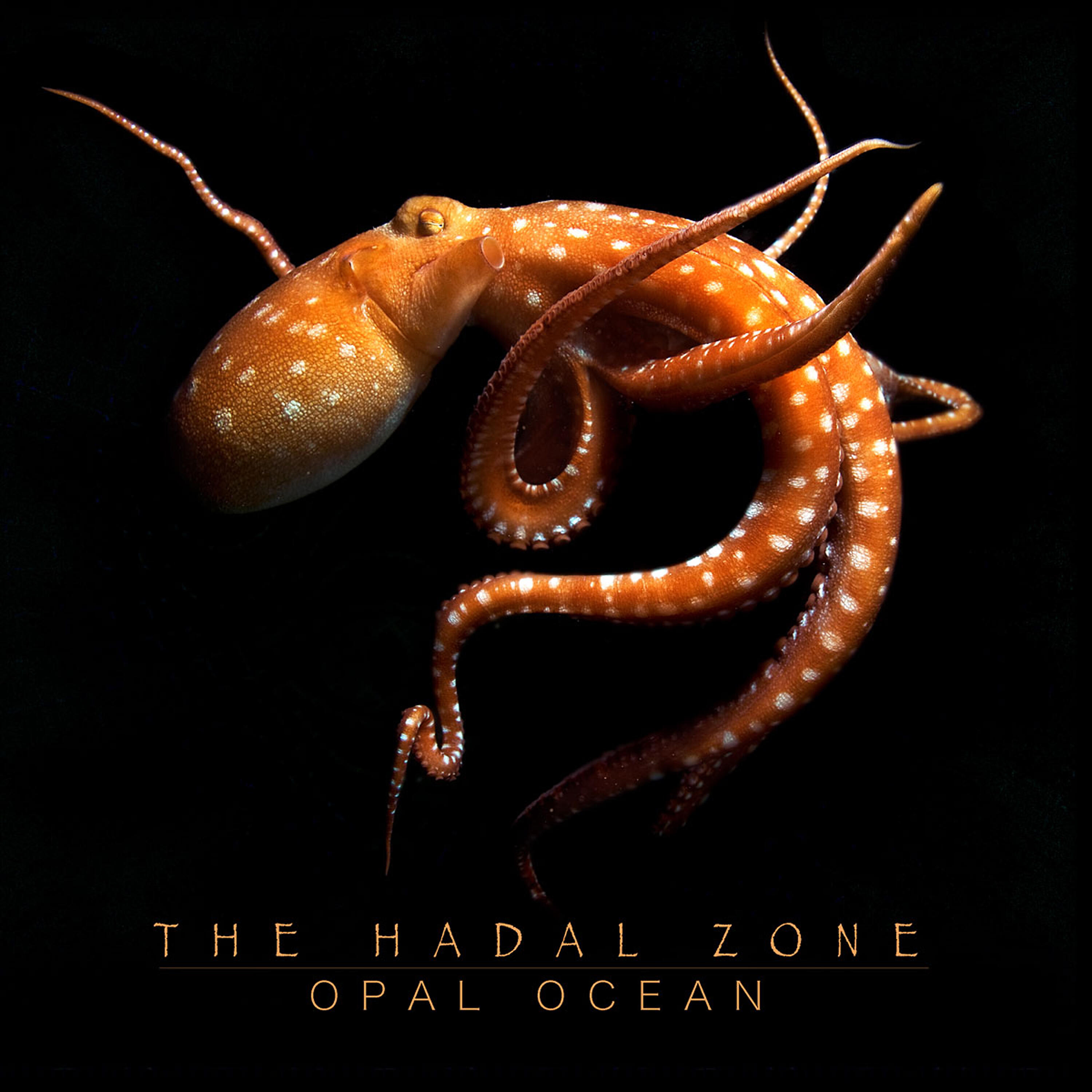 Opal Ocean - Polycephaly